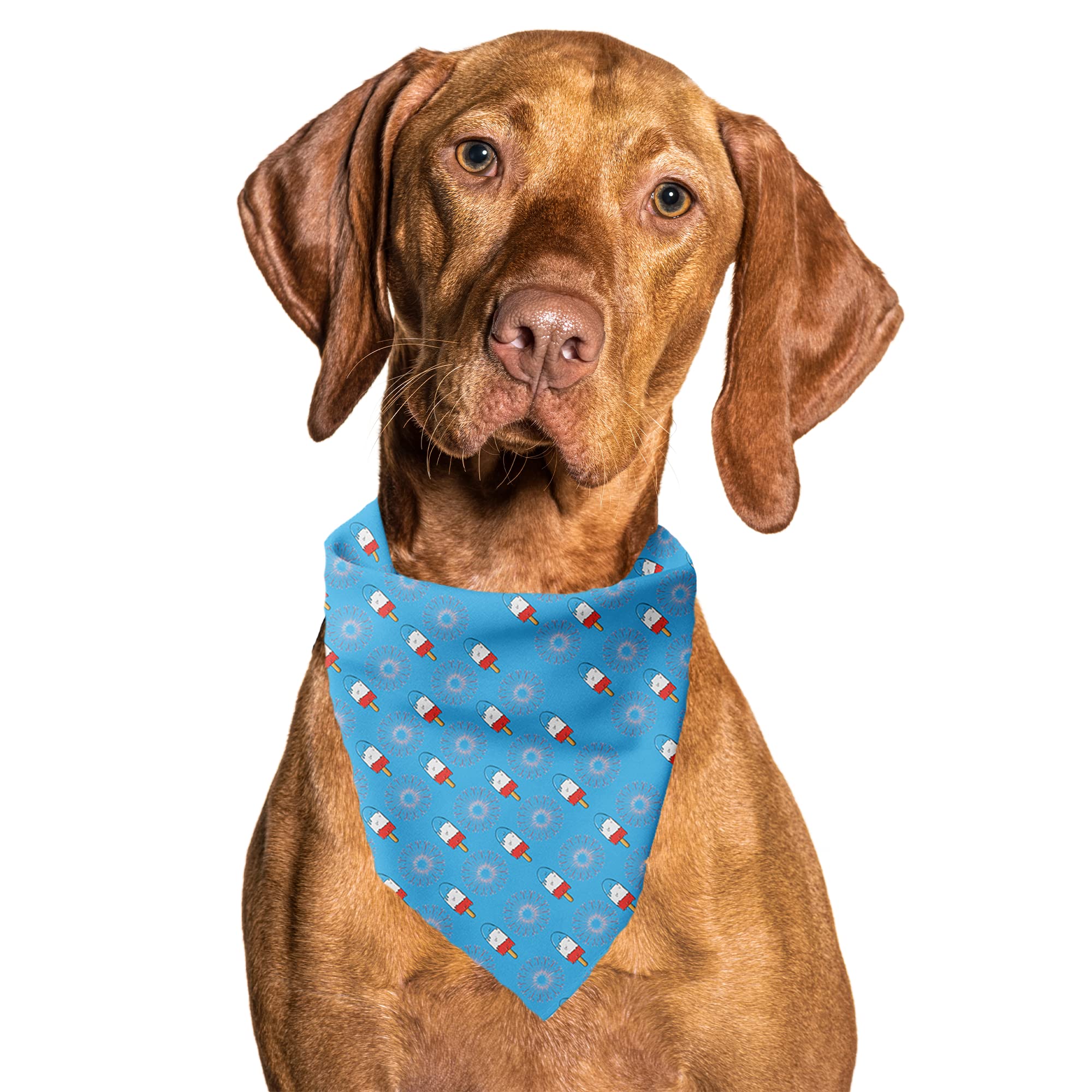 Cutie Ties Tie On Dog Bandana