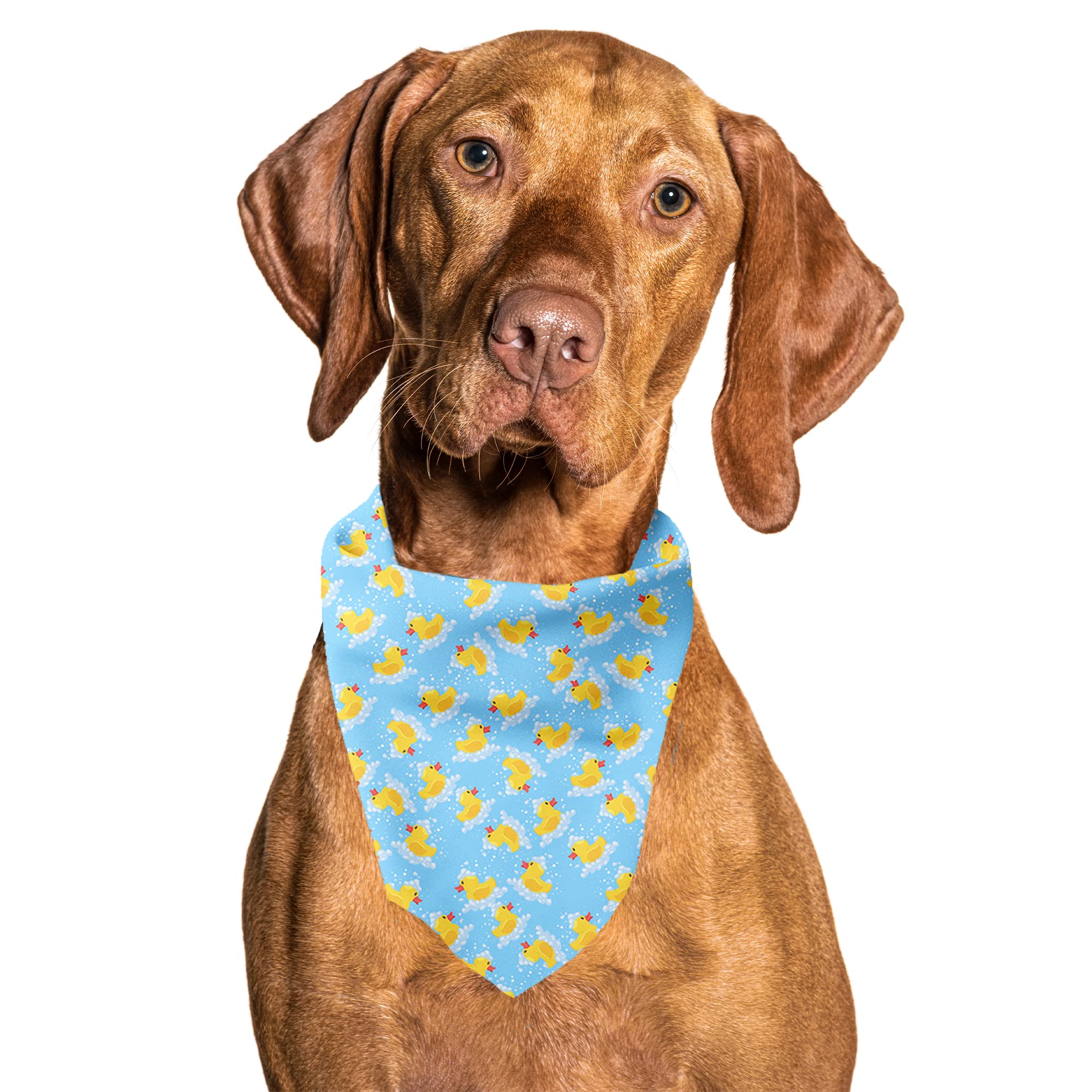 Cutie Ties Tie On Dog Bandana