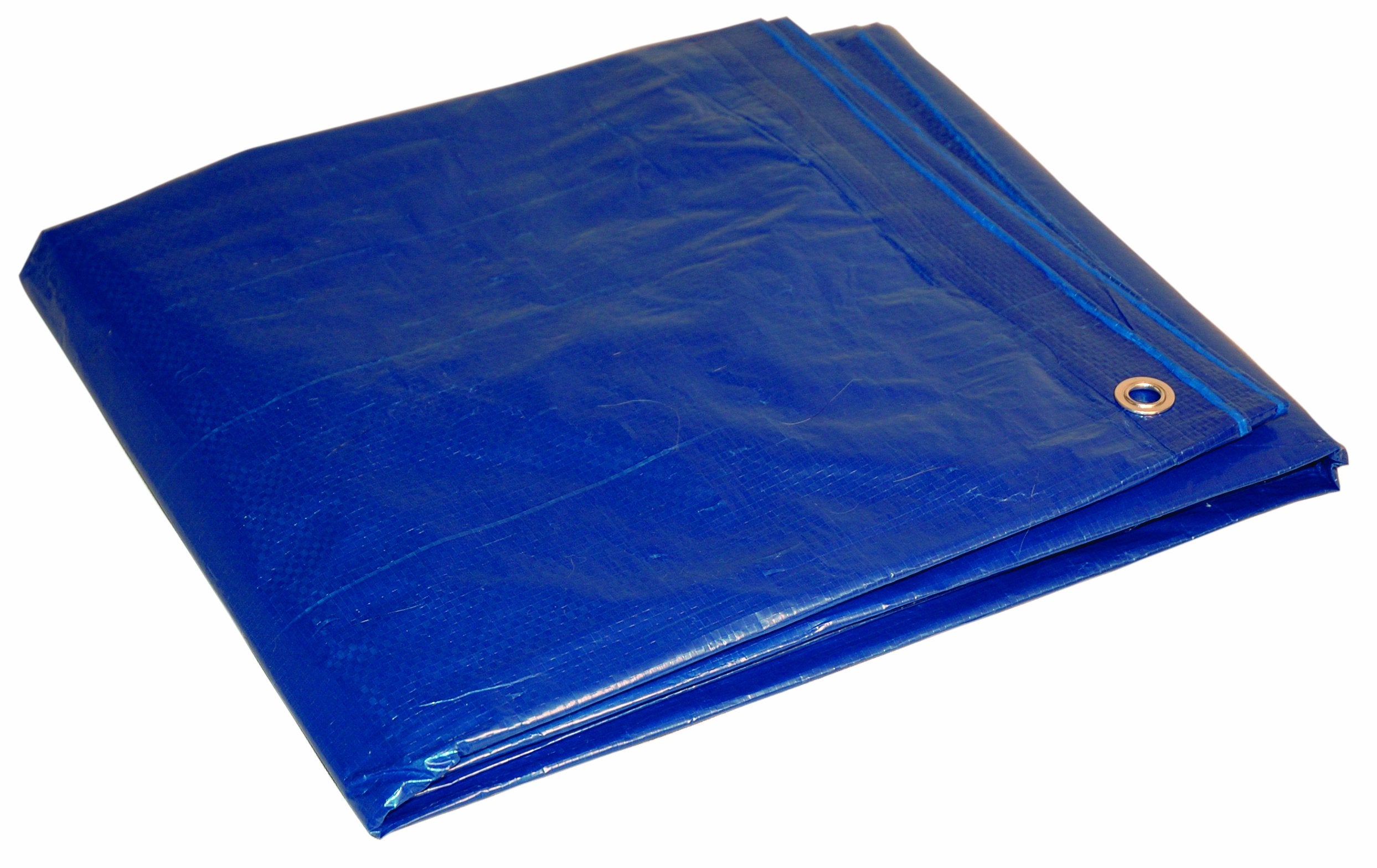 TARP BLUE 20X30 (Pack of 1)