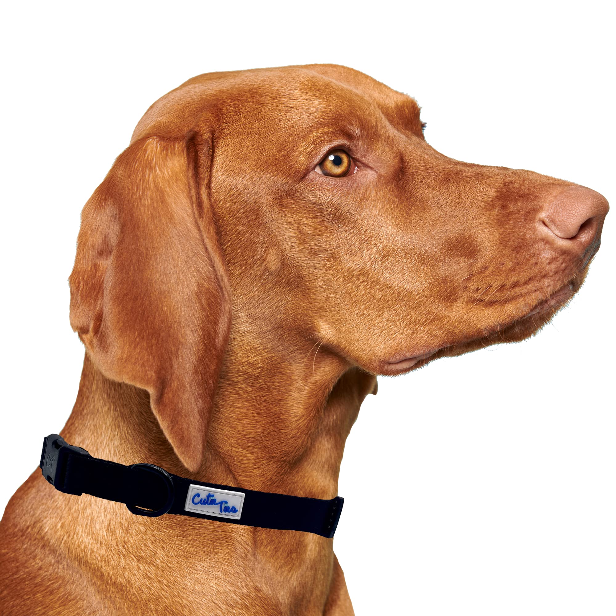 Cutie Ties Fun Design Dog Collar