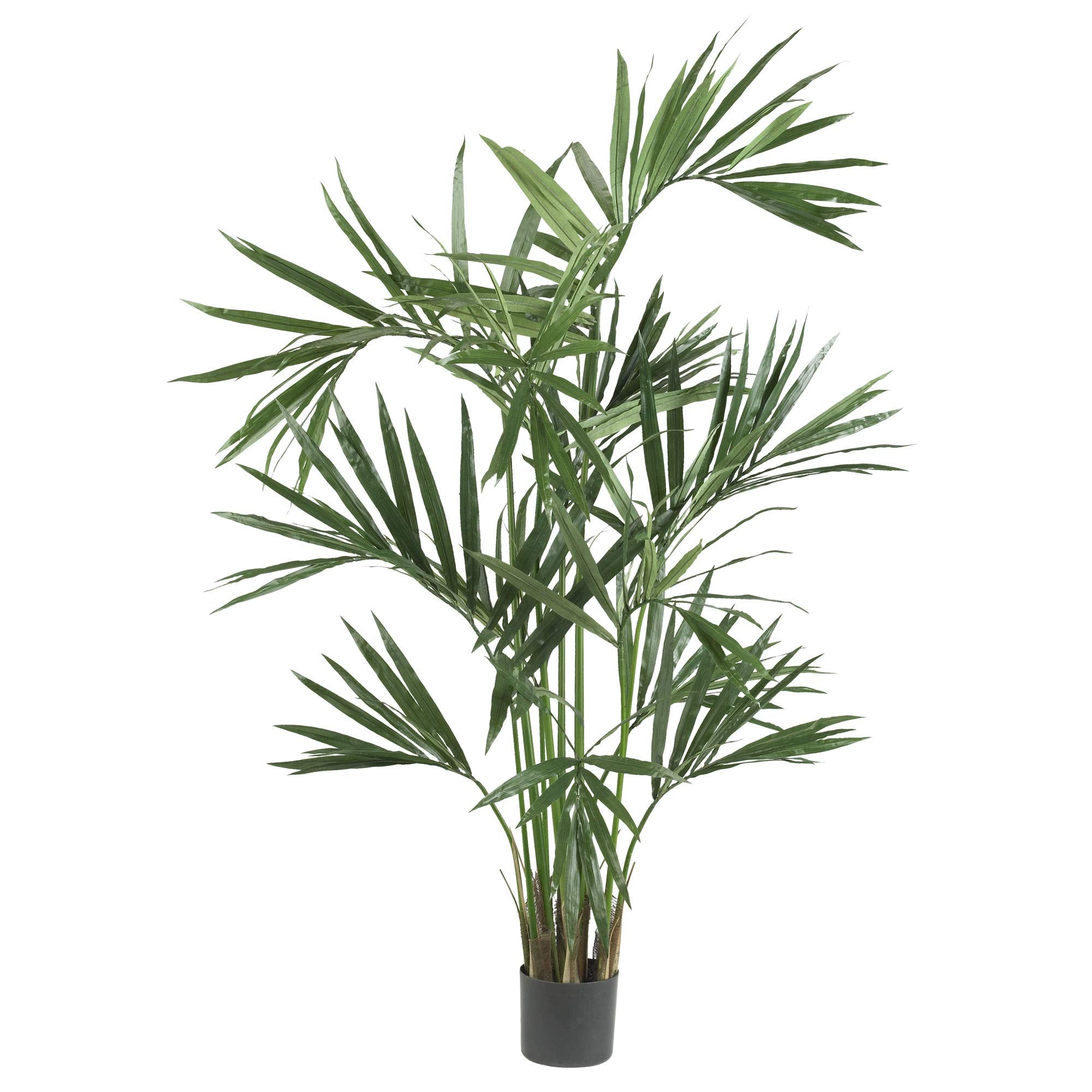 6 Kentia Palm Silk Tree