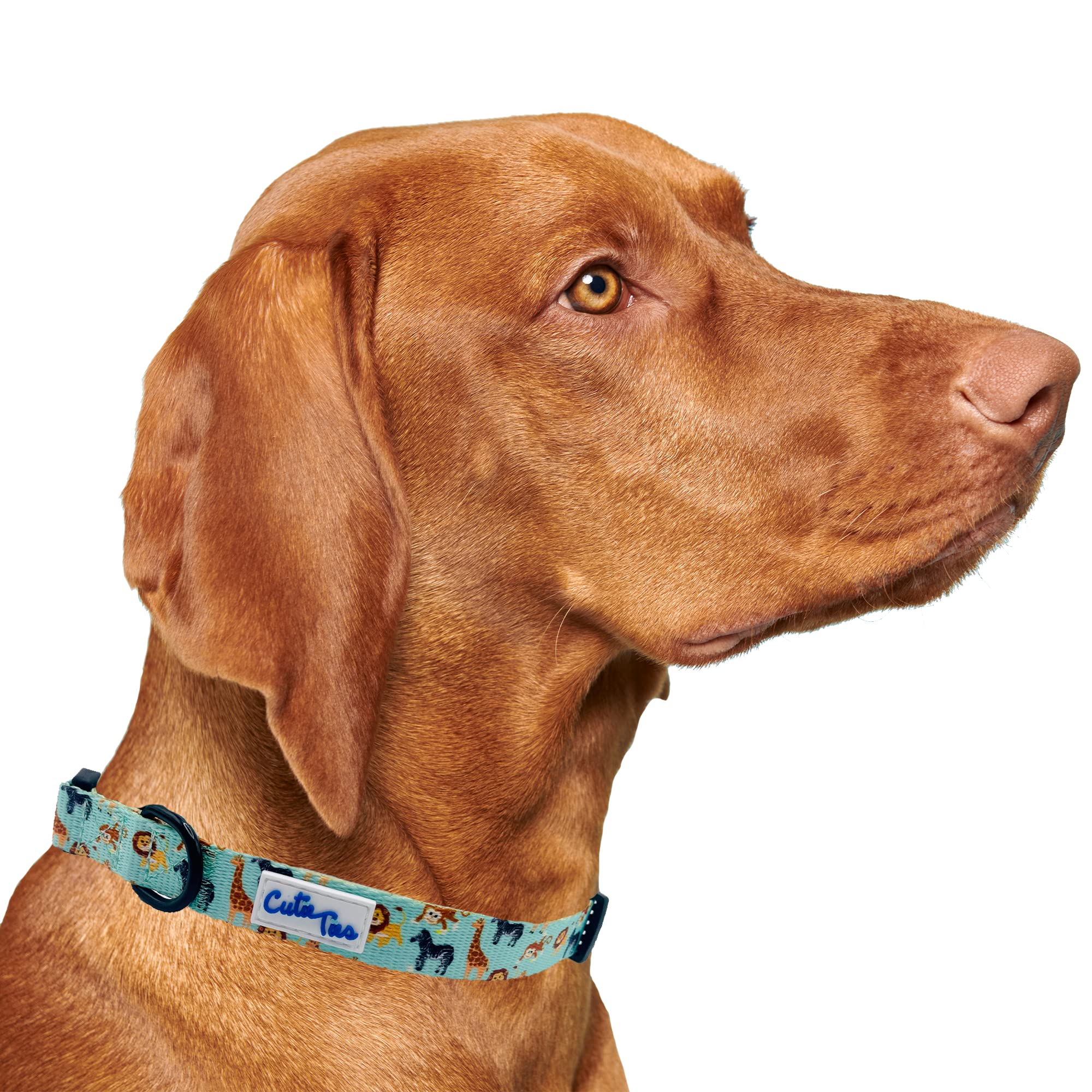 Cutie Ties Fun Design Dog Collar