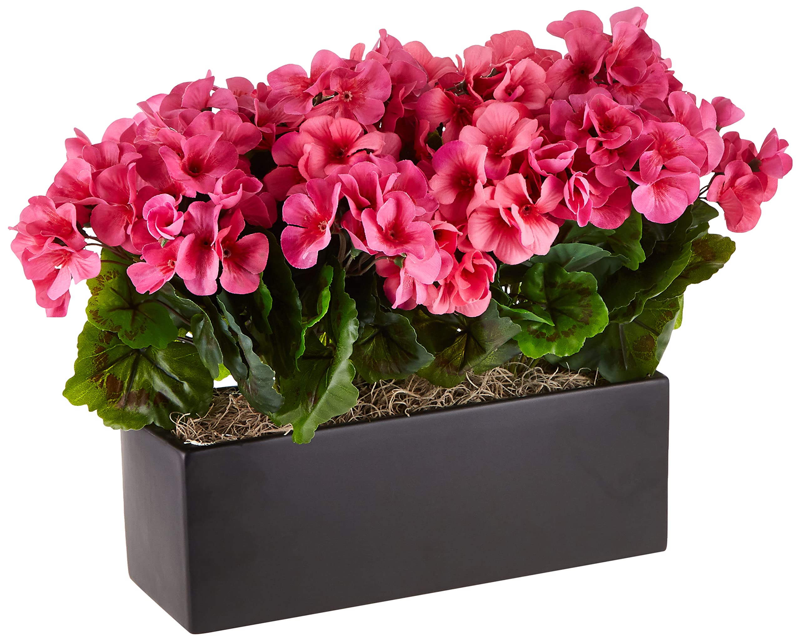 Geranium in Rectangular Planter UV Resistant (Indoor/Outdoor)