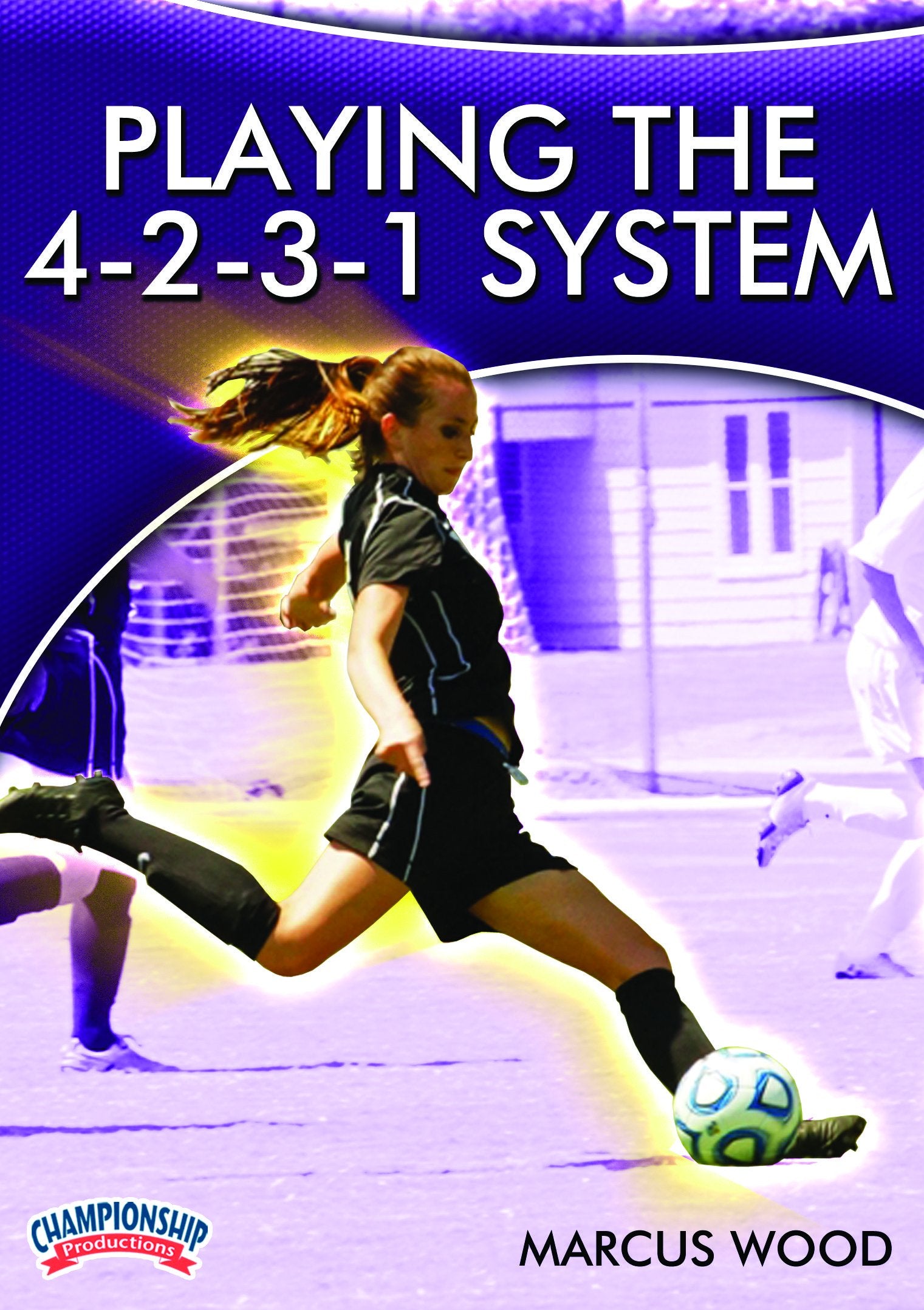 PLAYING THE 4-2-3-1 SYSTEM (WOOD)