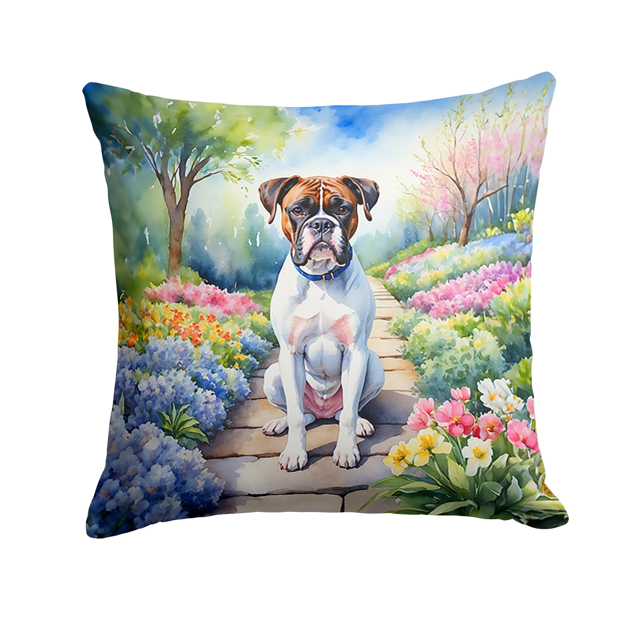 Boxer Spring Path Throw Pillow