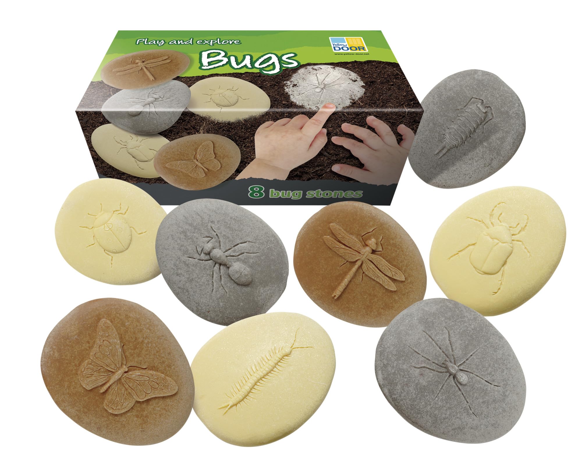 Lets Investigate Bugs Stone, Pack of 8