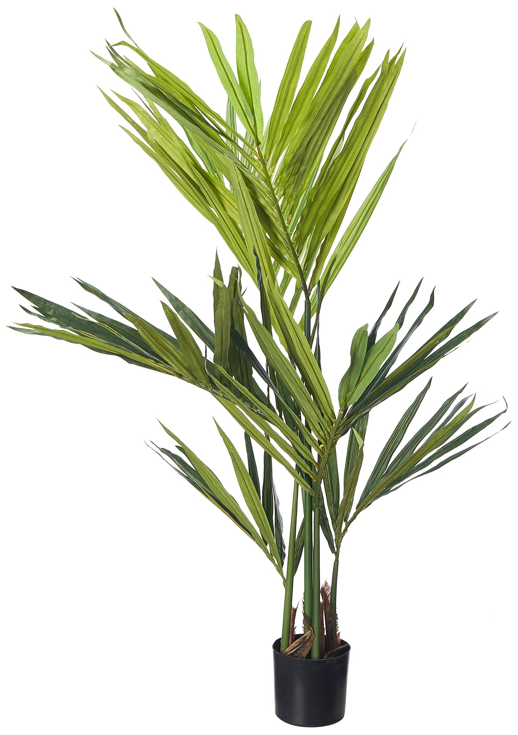 4 Kentia Palm Silk Tree