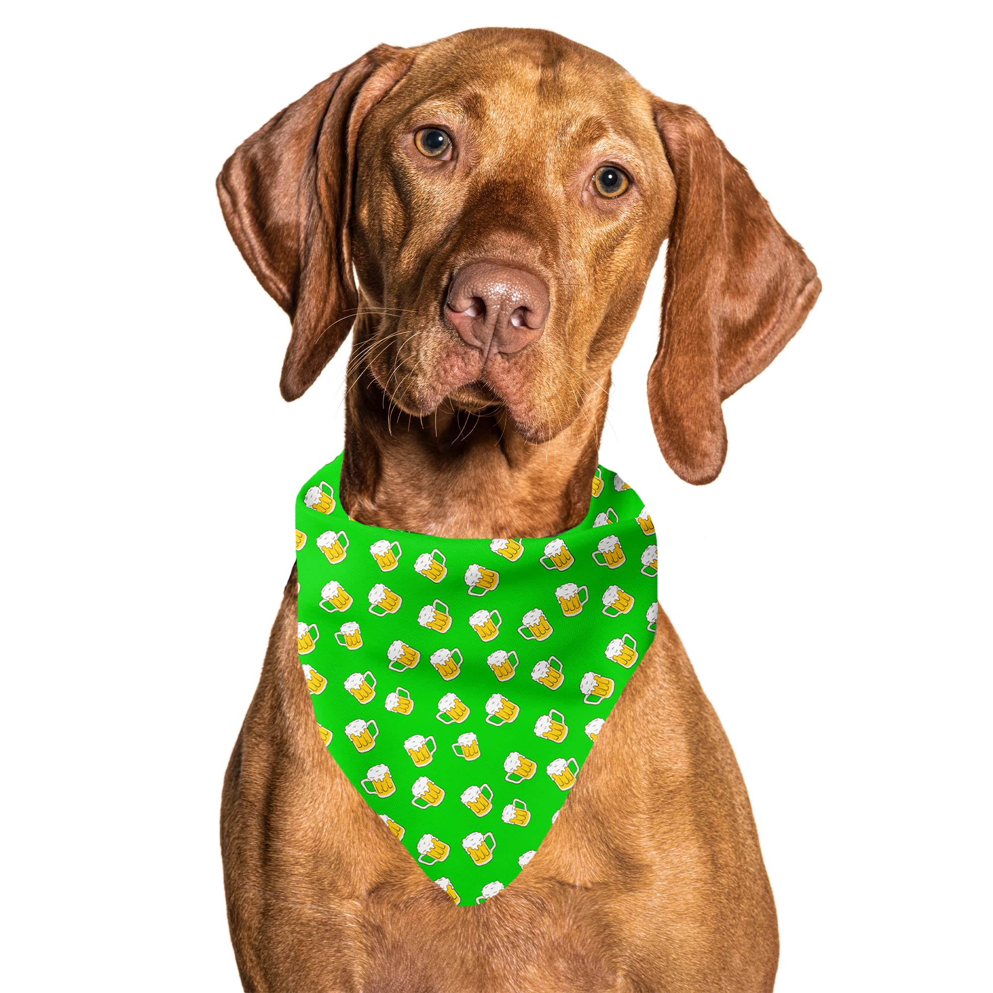 Cutie Ties Tie On Dog Bandana