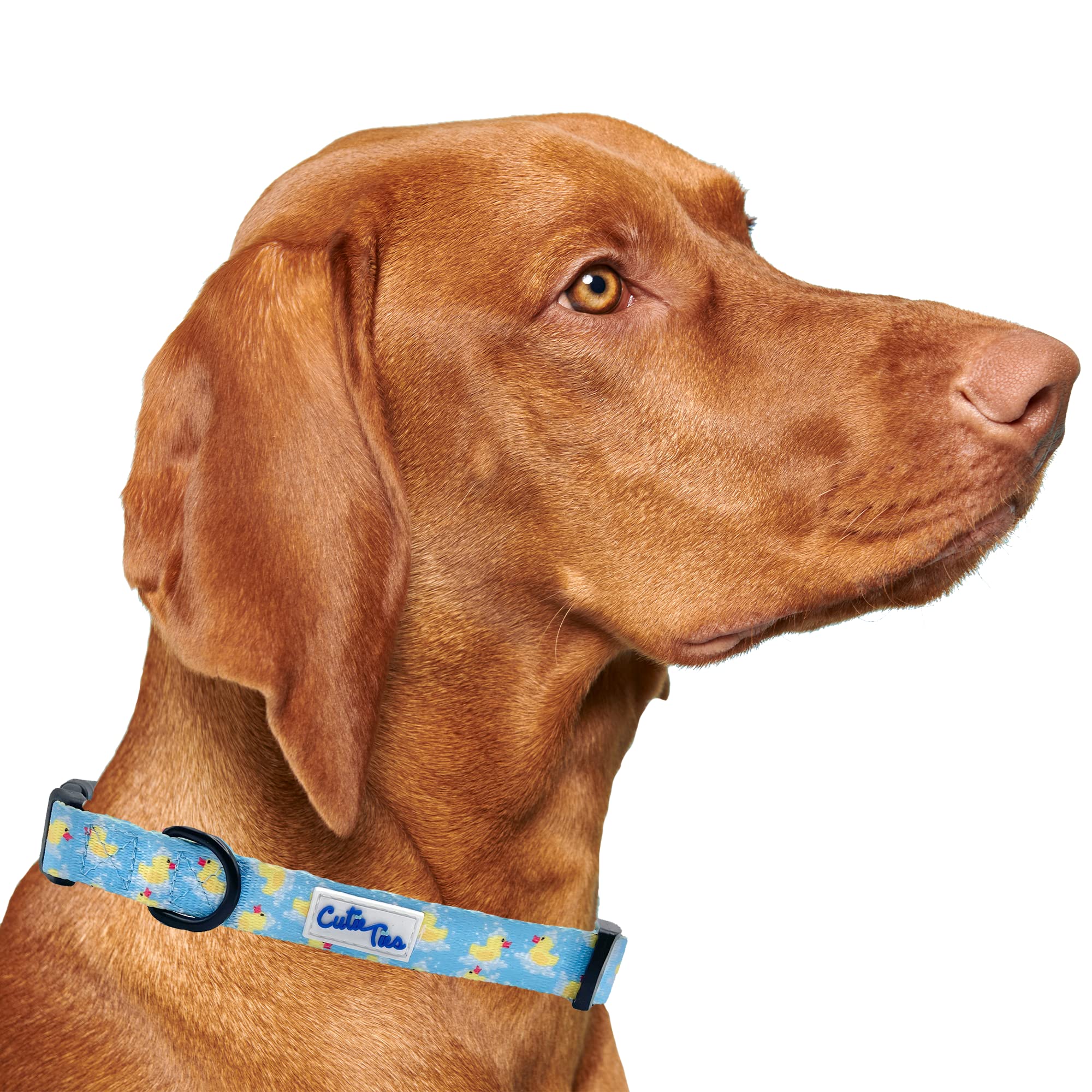 Cutie Ties Fun Design Dog Collar