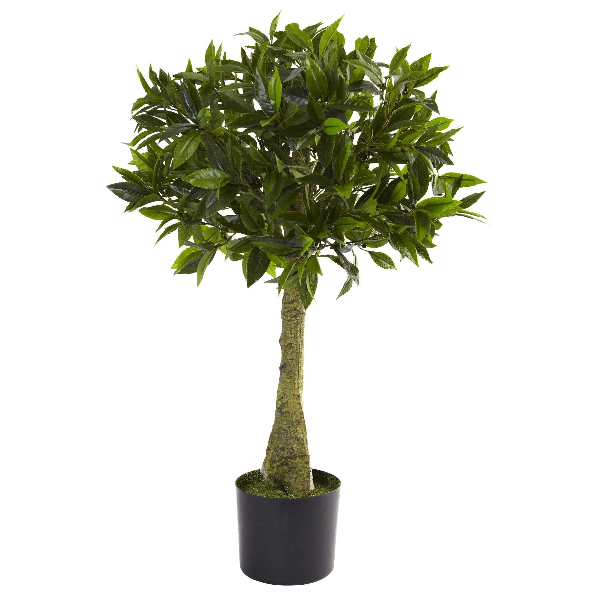 3 Bay Leaf Topiary UV Resistant (Indoor/Outdoor)