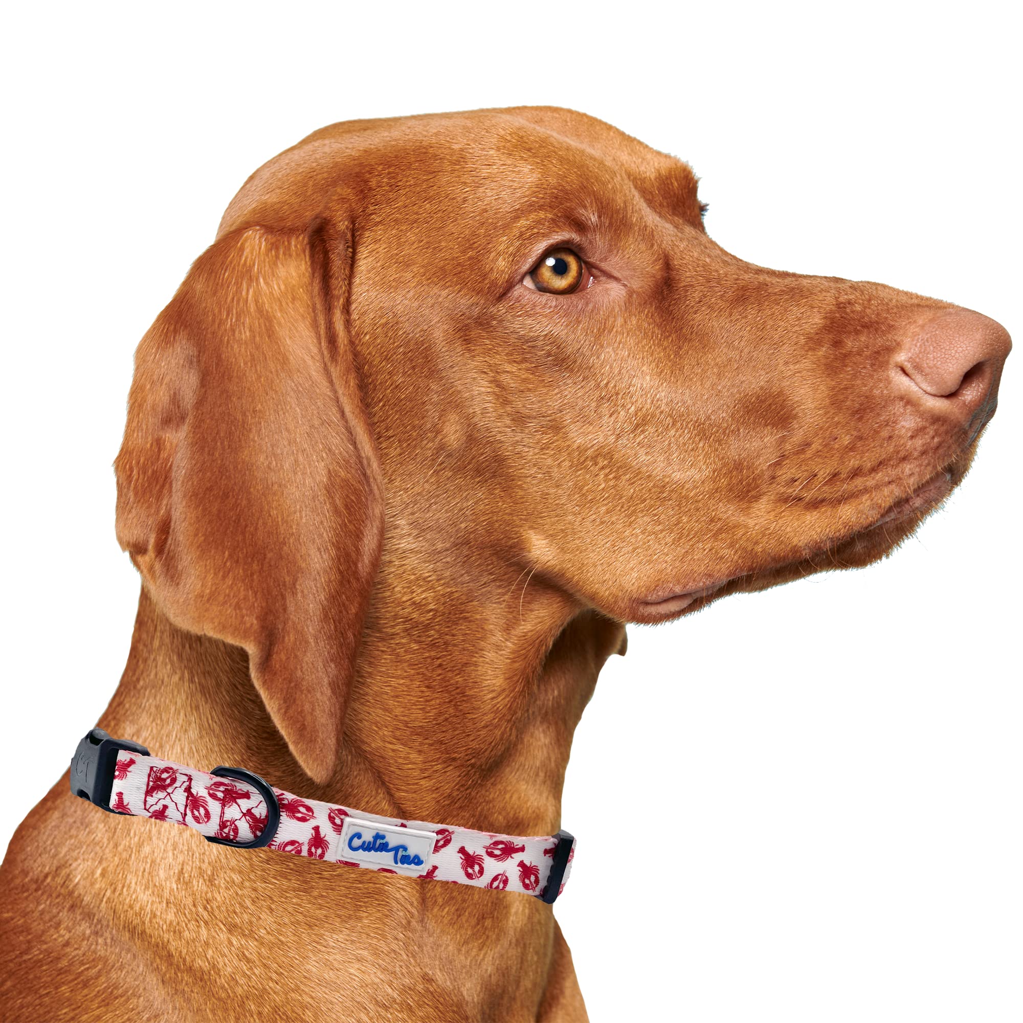 Cutie Ties Fun Design Dog Collar