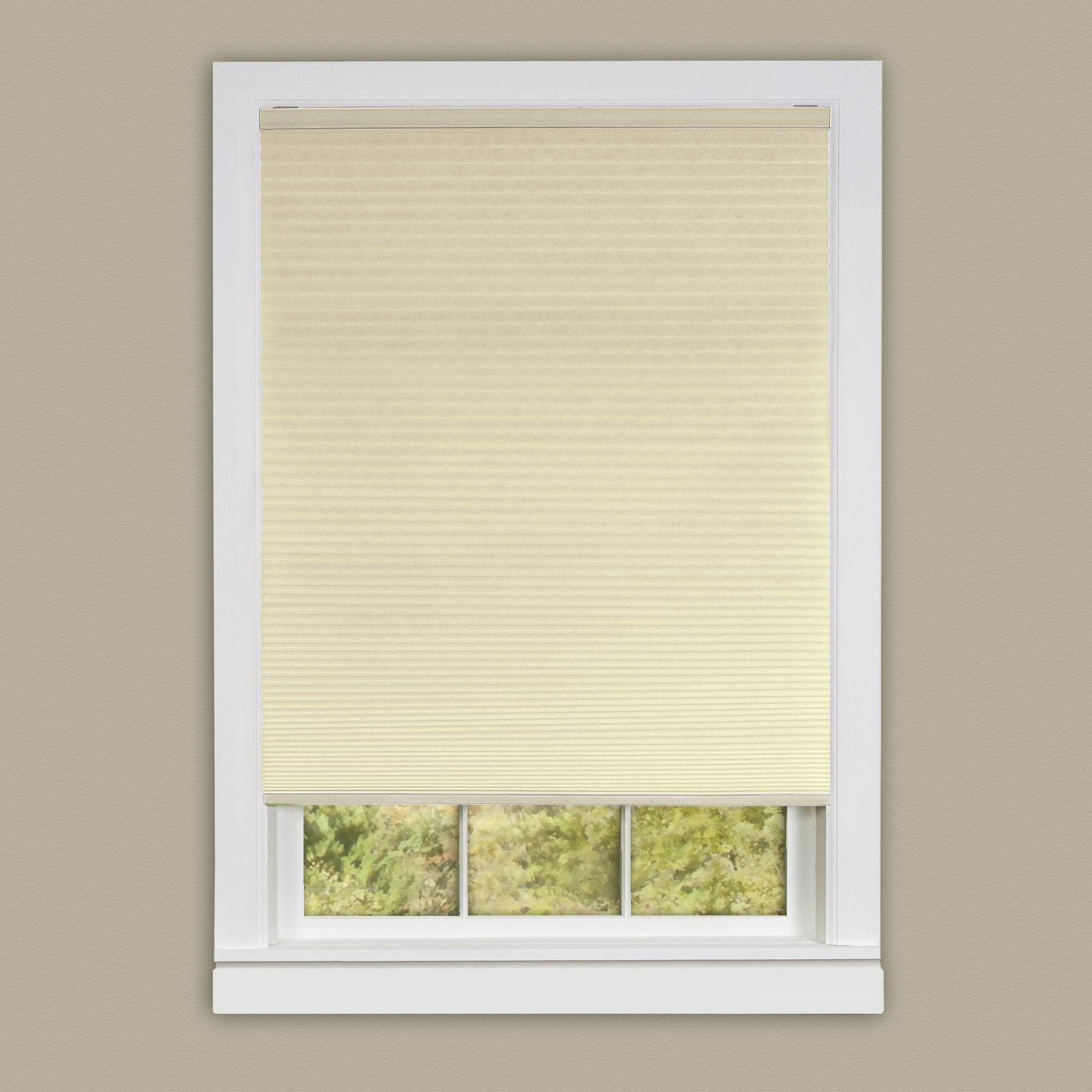 Cordless Honeycomb Cellular Pleated Shade 34x64 - Alabaster