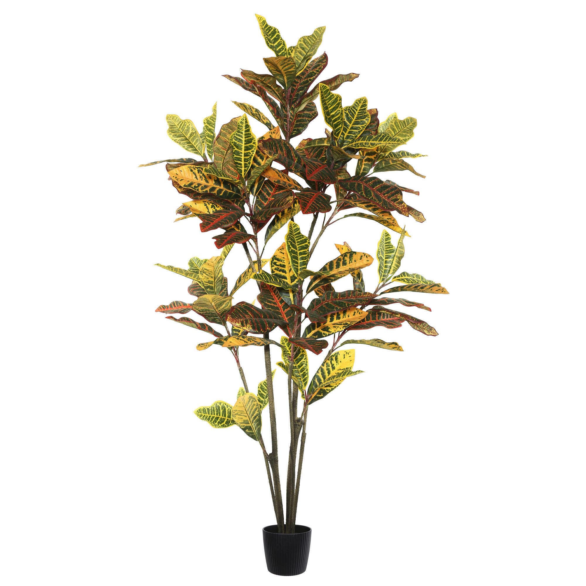 Casafoyer  5' Potted Croton  Tree  W/104 Lvs-Green - TB170660 - (Pack Of 2)