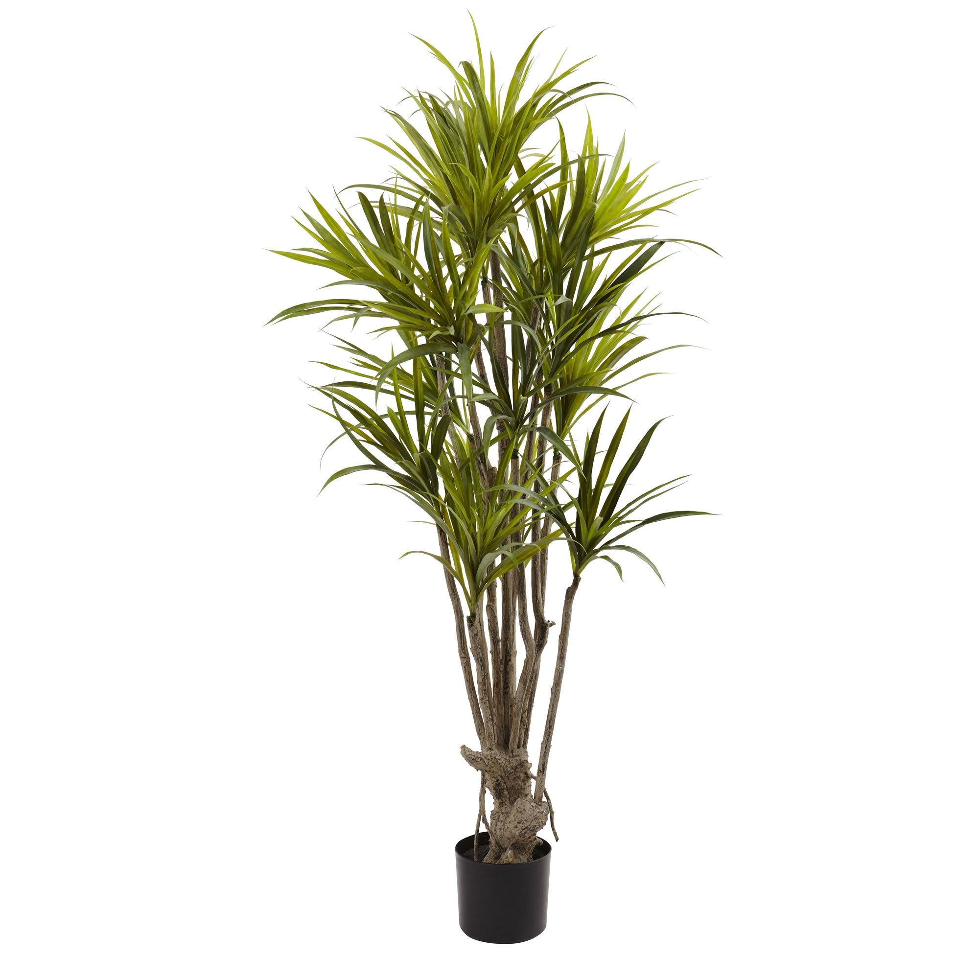 5″ Dracaena Silk Tree