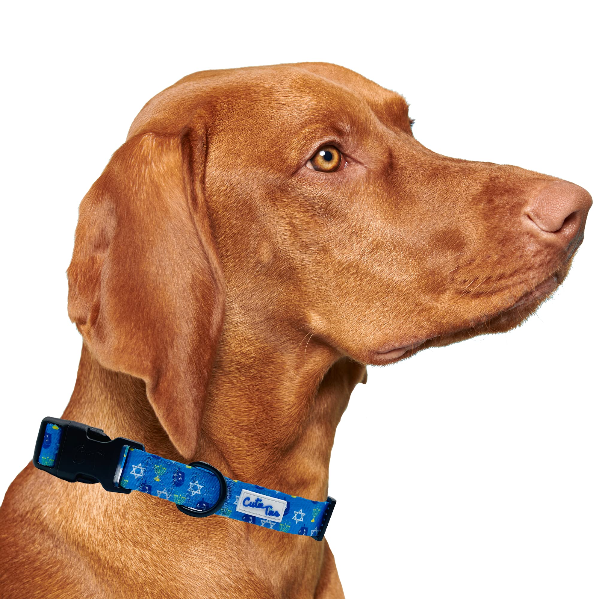 Cutie Ties Fun Design Dog Collar