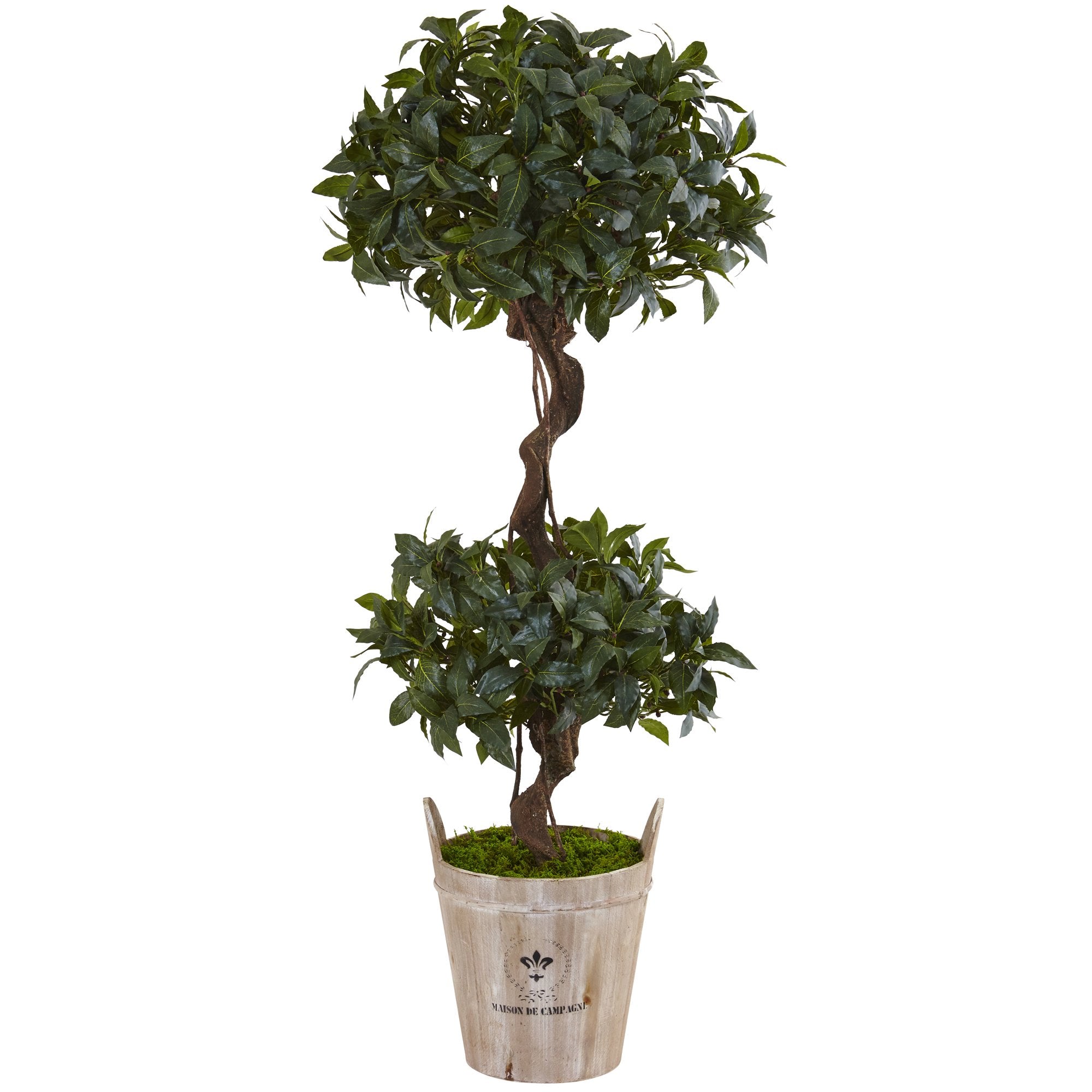 4.5 Sweet Bay Double Topiary Tree in Farmhouse Planter