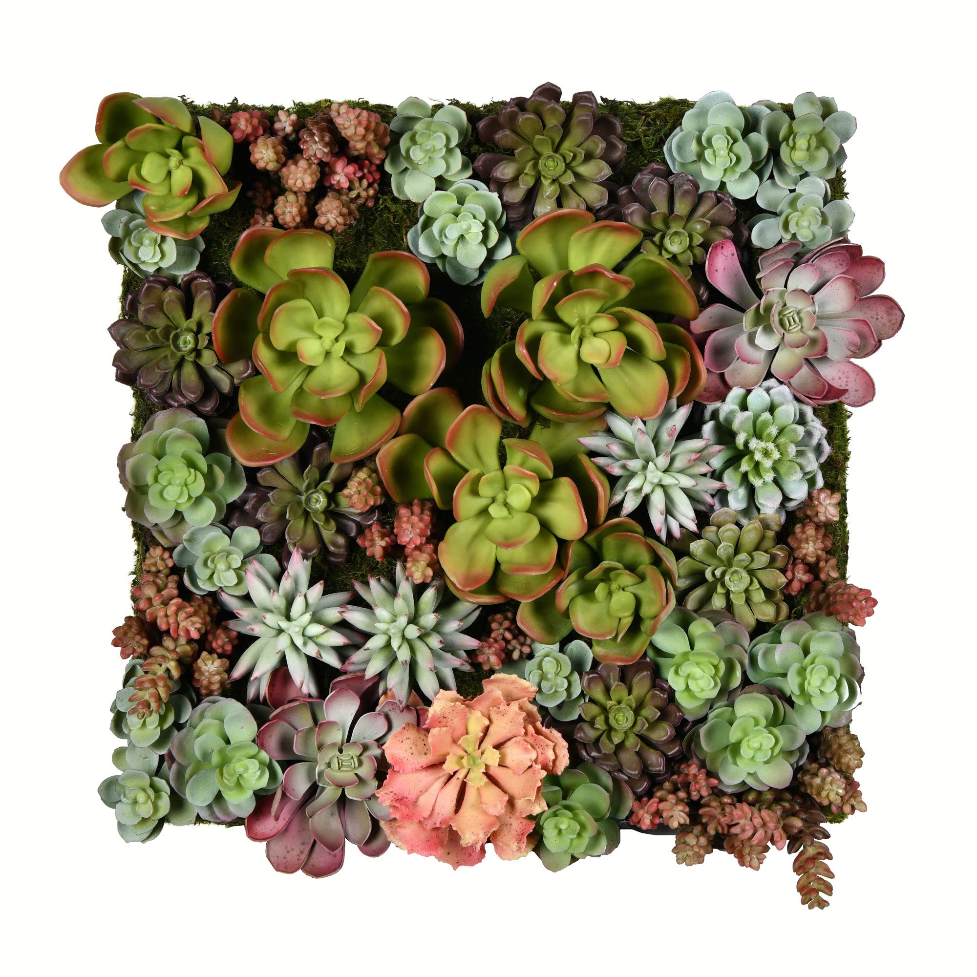 Casafoyer  16.5” Multi-Colored Succulent Wall Arran - FX190617 - (Pack Of 2)