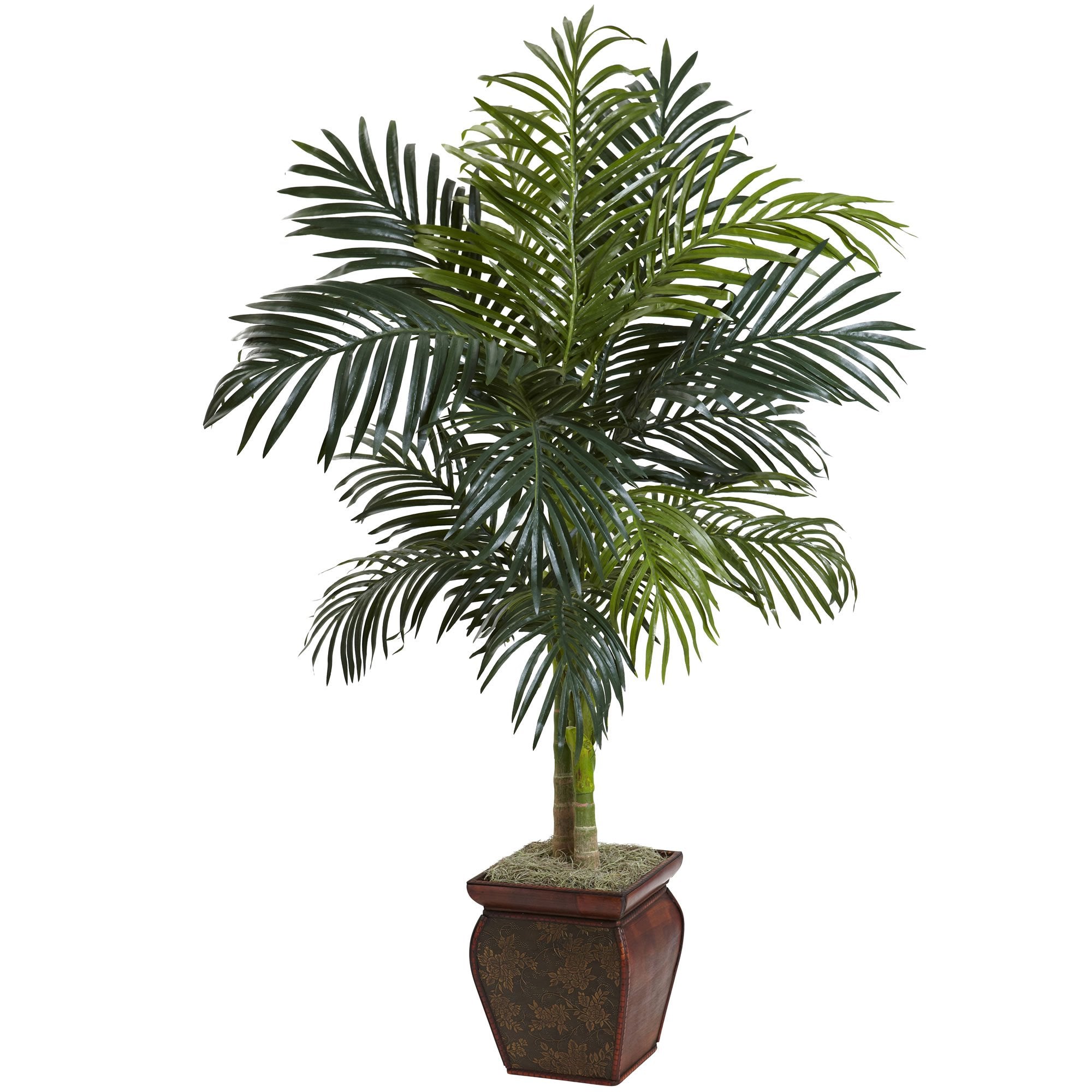 4.5″ Golden Cane Palm w/Decorative Container