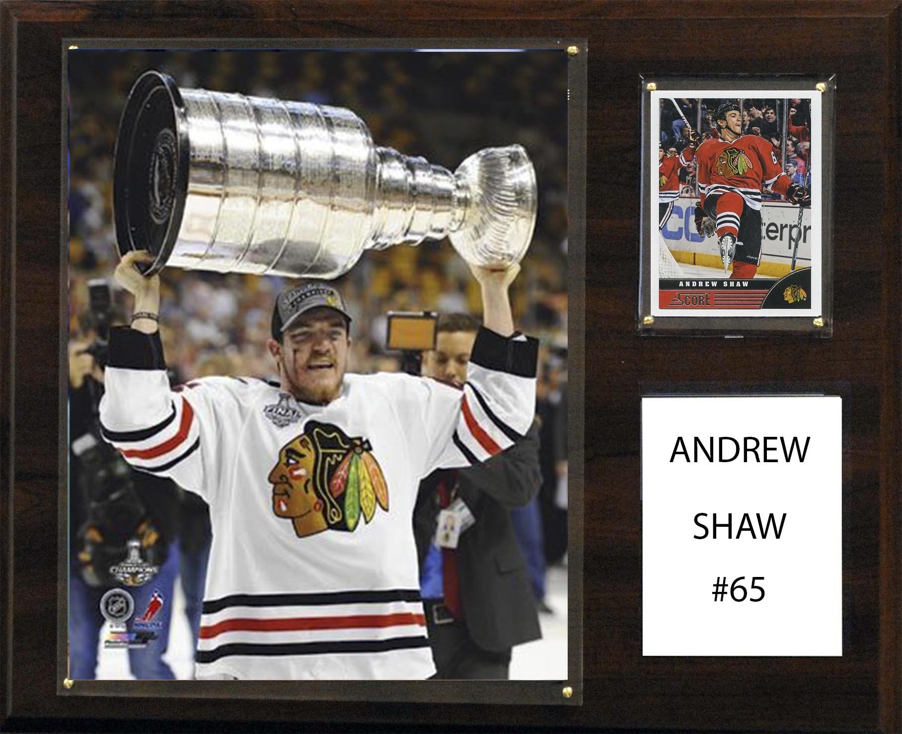 NHL 12x15″ Andrew Shaw Chicago Blackhawks Player Plaque