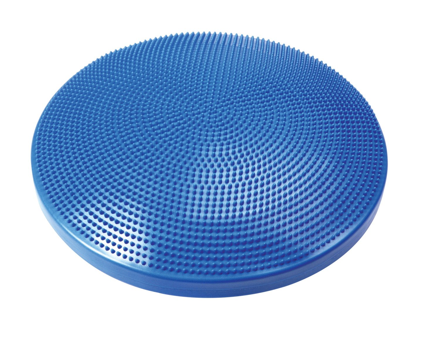 Aeromat Balance Disc Cushion - 24 diameter Blue