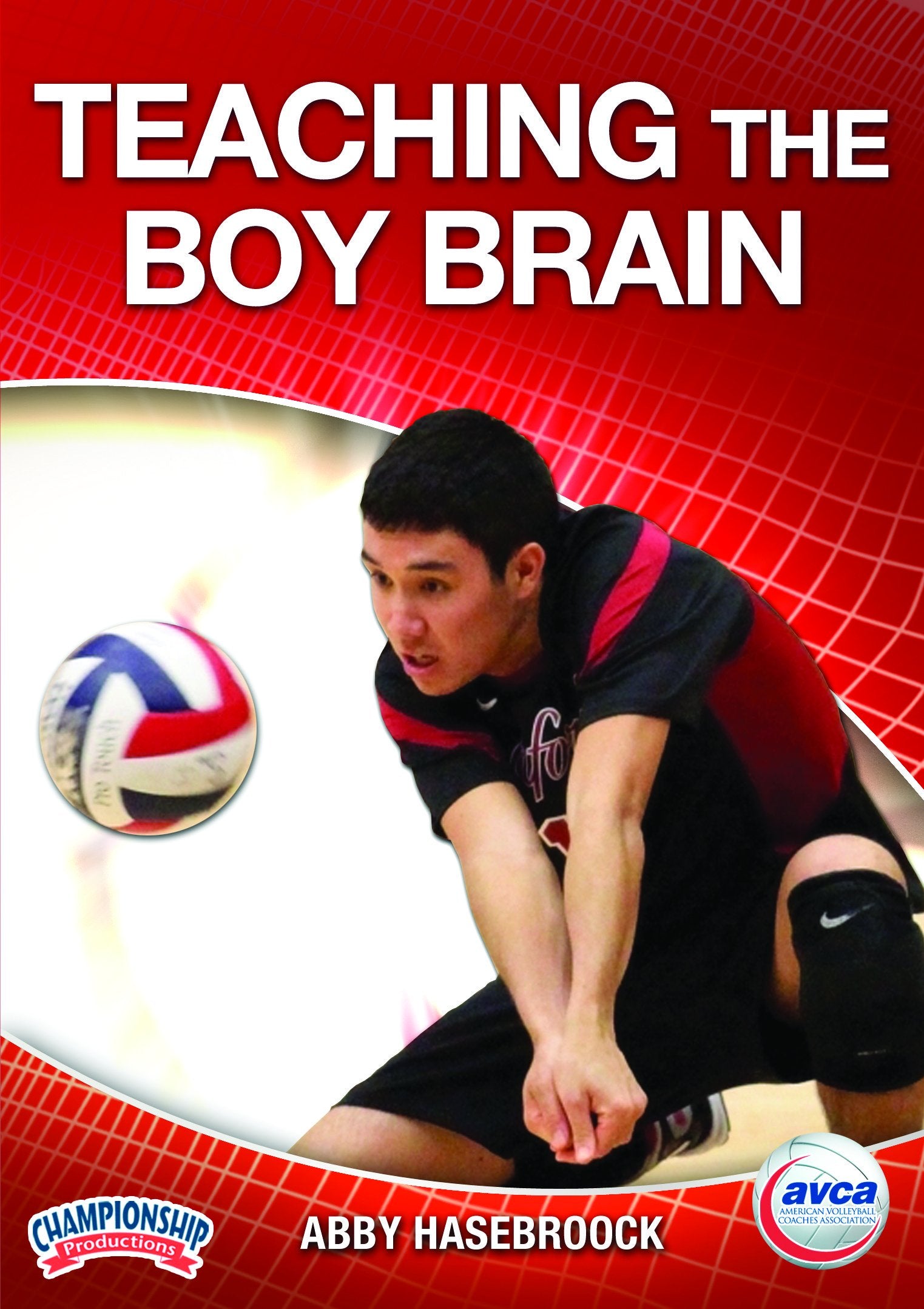 TEACHING THE BOY BRAIN (HASEBROCK-AVCA)