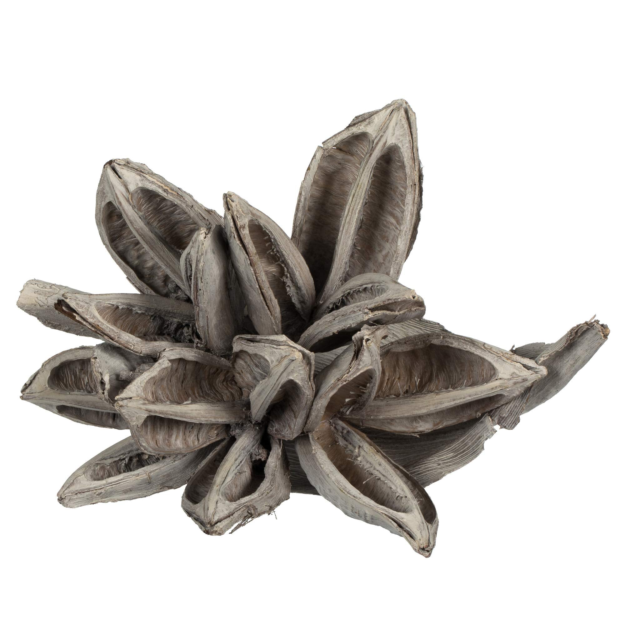 Casafoyer 6” White Wash Star Pod - (Pack Of 2)