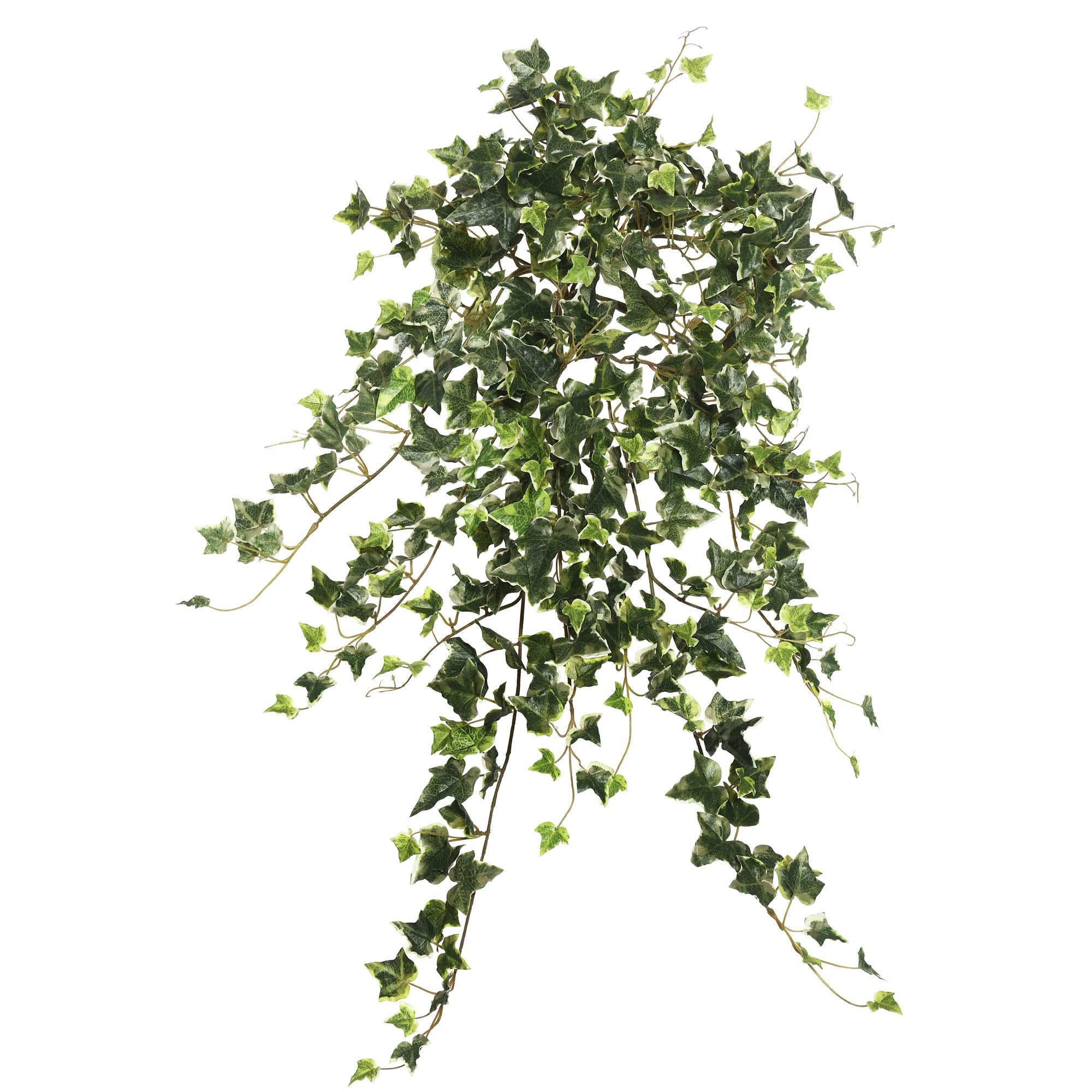 Casafoyer  26” Mini Vari. Ivy Hanging Bush-Green - FB170901 - (Pack Of 2)