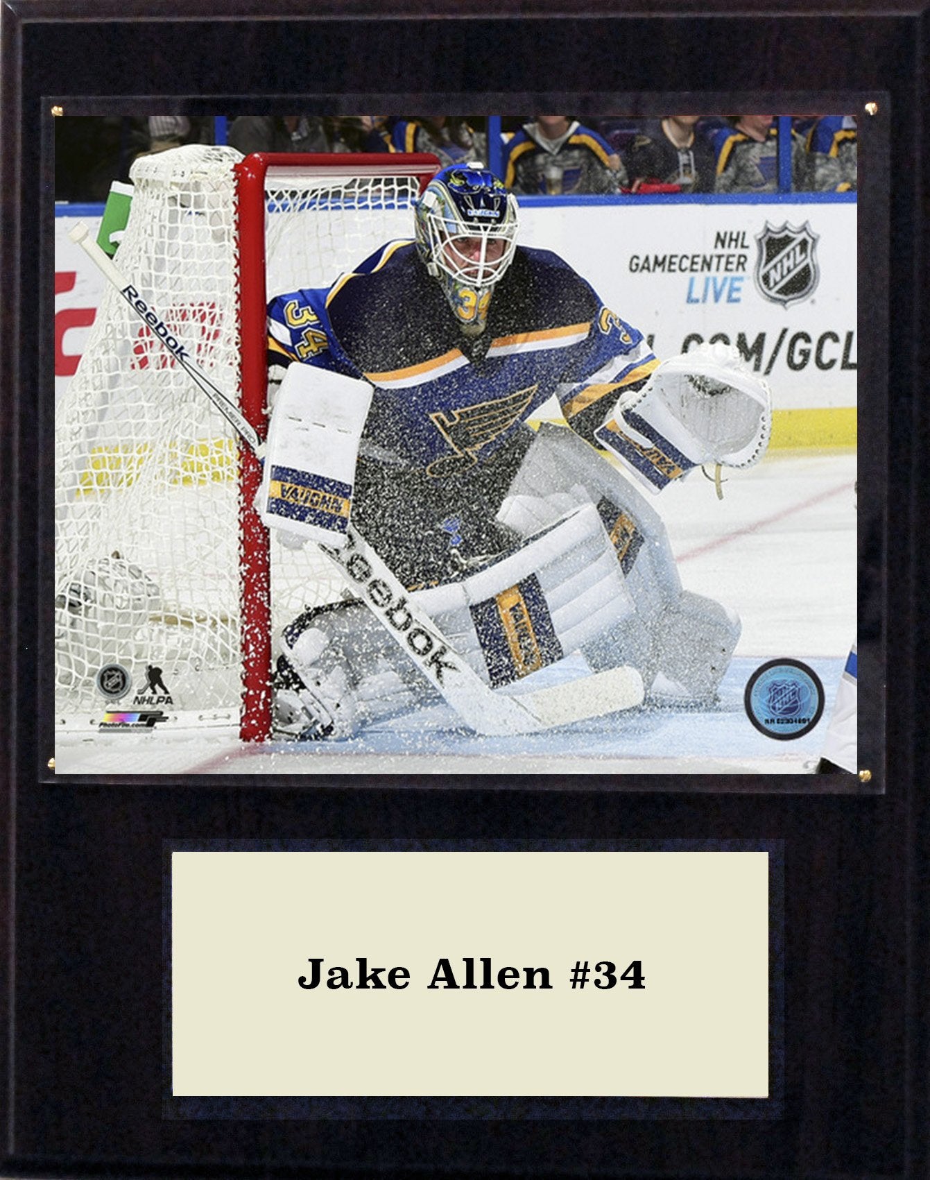 NHL 12x15″ Jake Allen St. Louis Blues Player Plaque