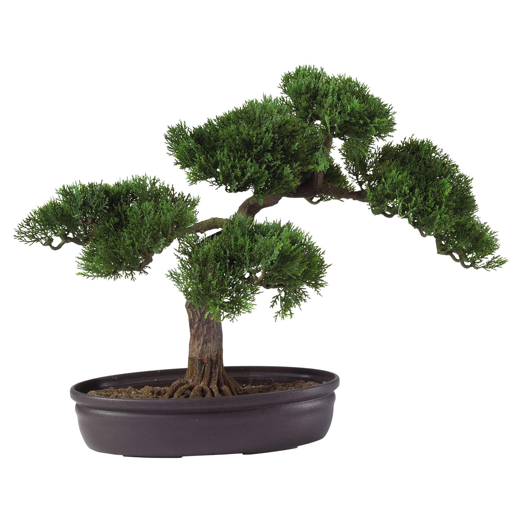 Cedar Bonsai 16″ Silk Plant