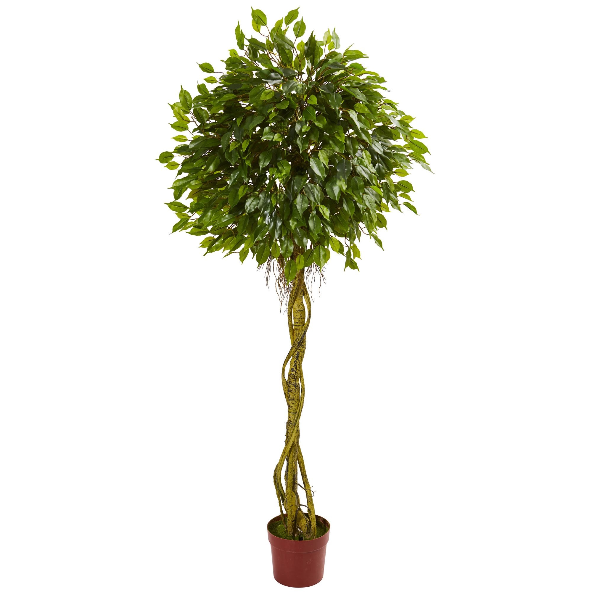6 Ficus Artificial Topiary Tree UV Resistant (Indoor/Outdoor)