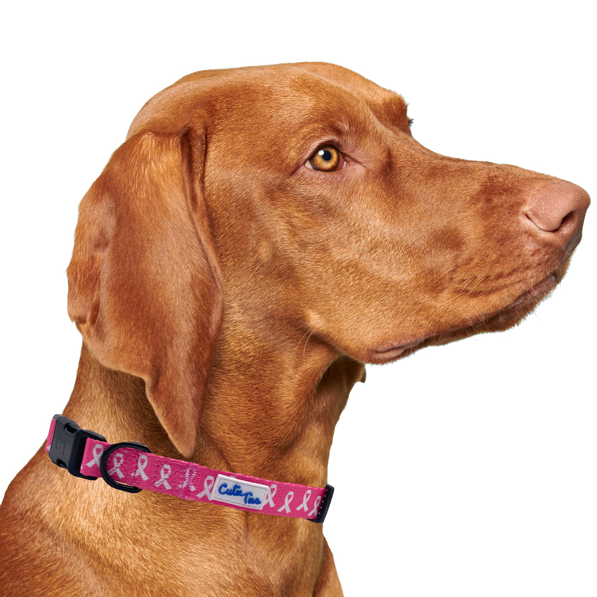 Cutie Ties Fun Design Dog Collar