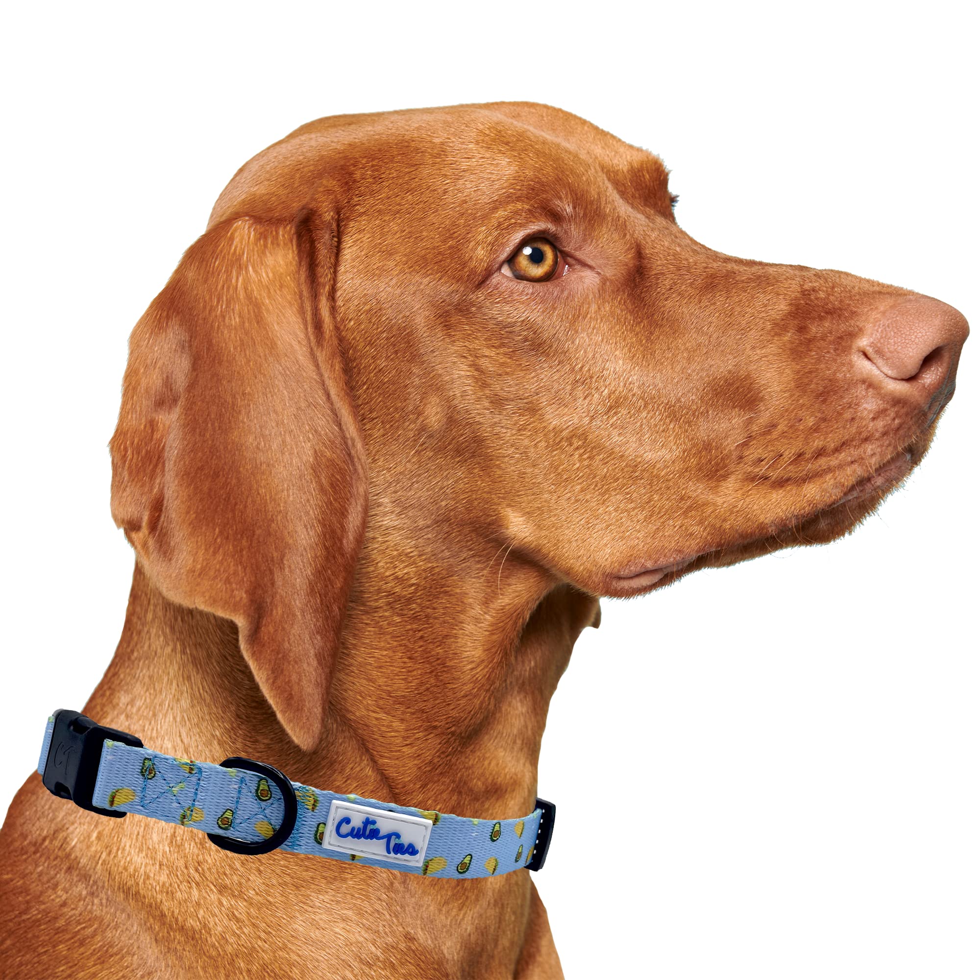Cutie Ties Fun Design Dog Collar