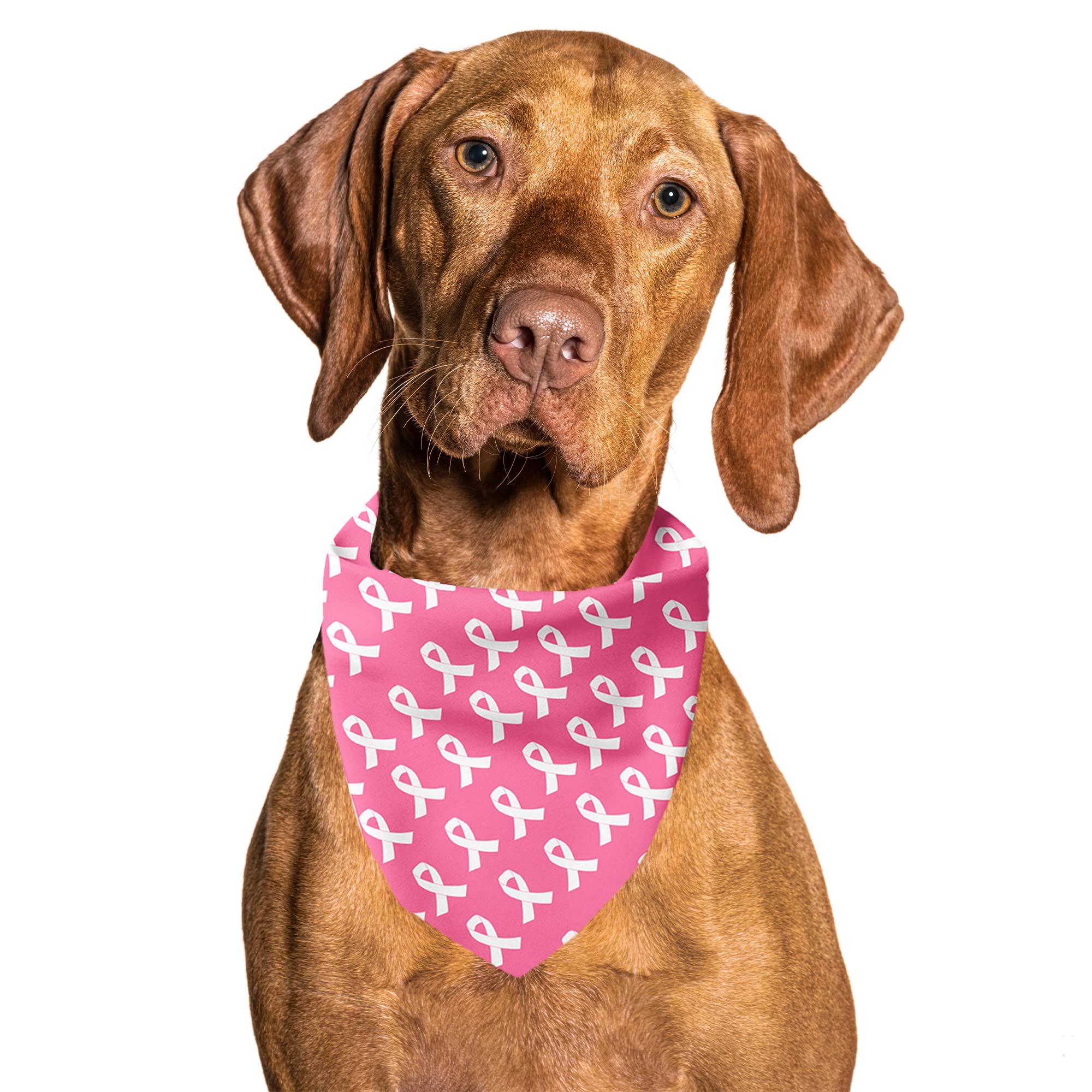 Cutie Ties Tie On Dog Bandana