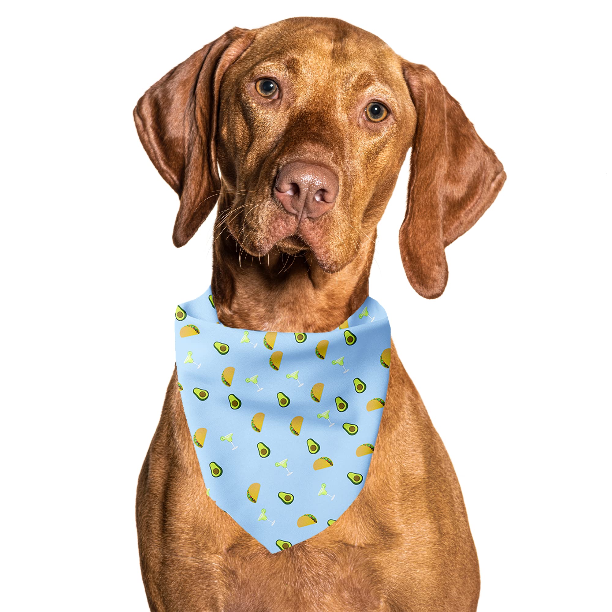 Cutie Ties Tie On Dog Bandana