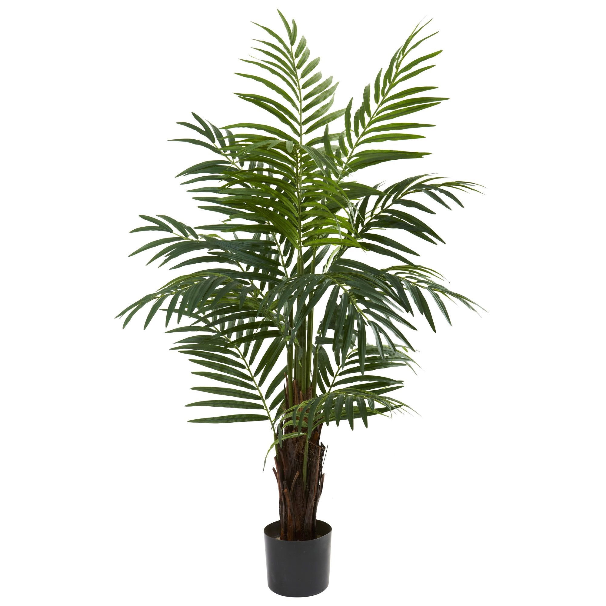 4″ Areca Palm Tree