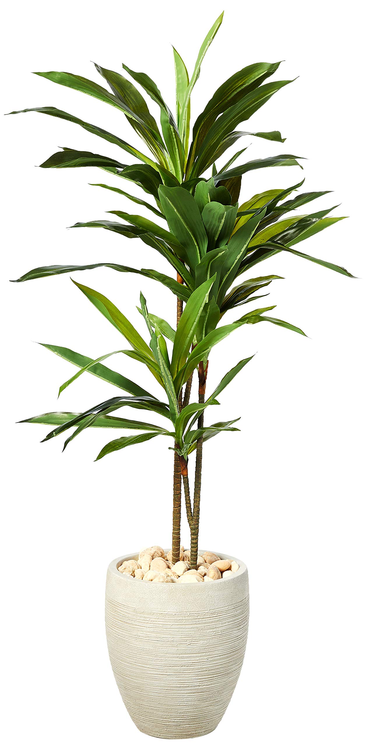 4 Dracaena Artificial Plant in Sand Colored Planter (Real Touch)