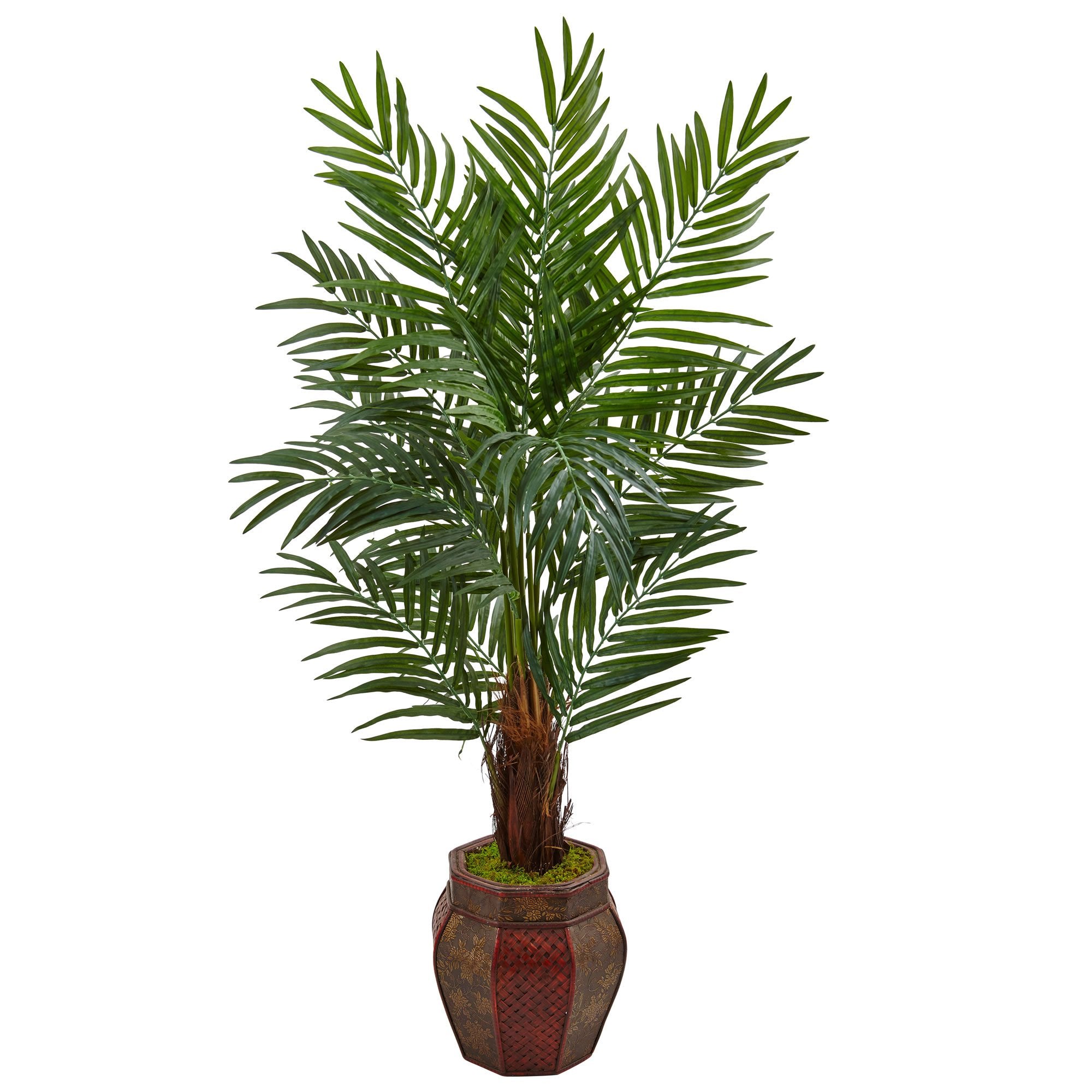 5 Areca Palm Tree in Weave Planter