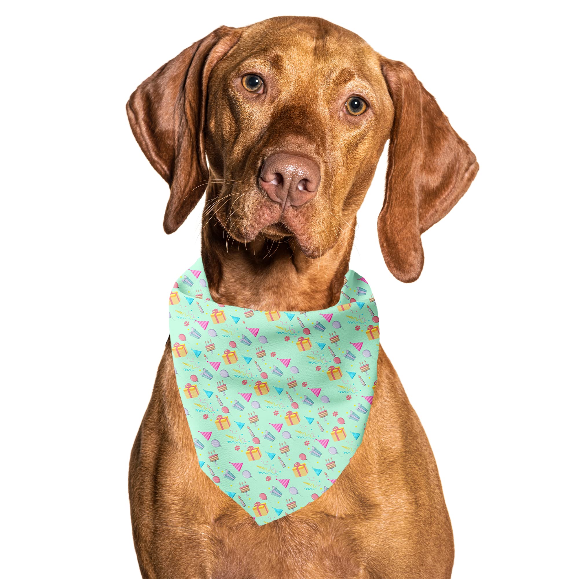 Cutie Ties Tie On Dog Bandana
