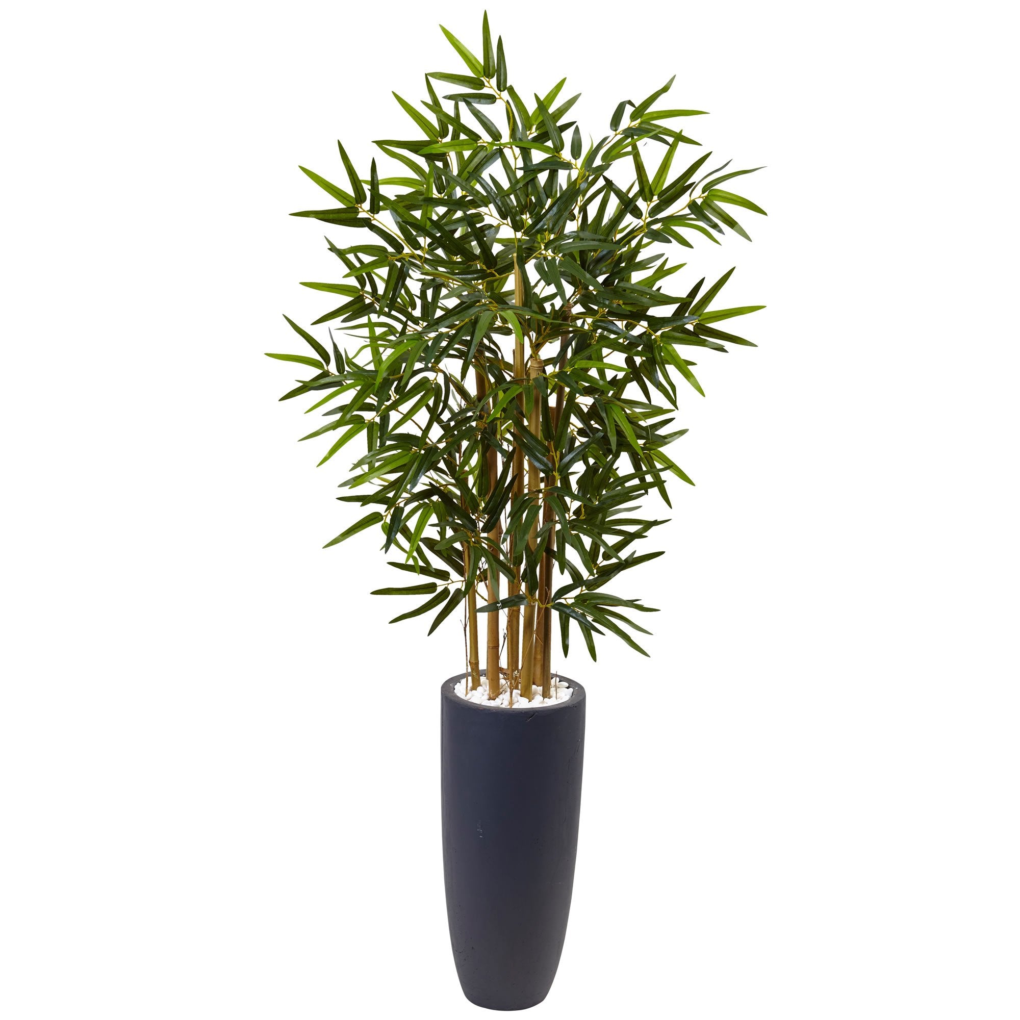 4 Bamboo Tree in Gray Cylinder Planter