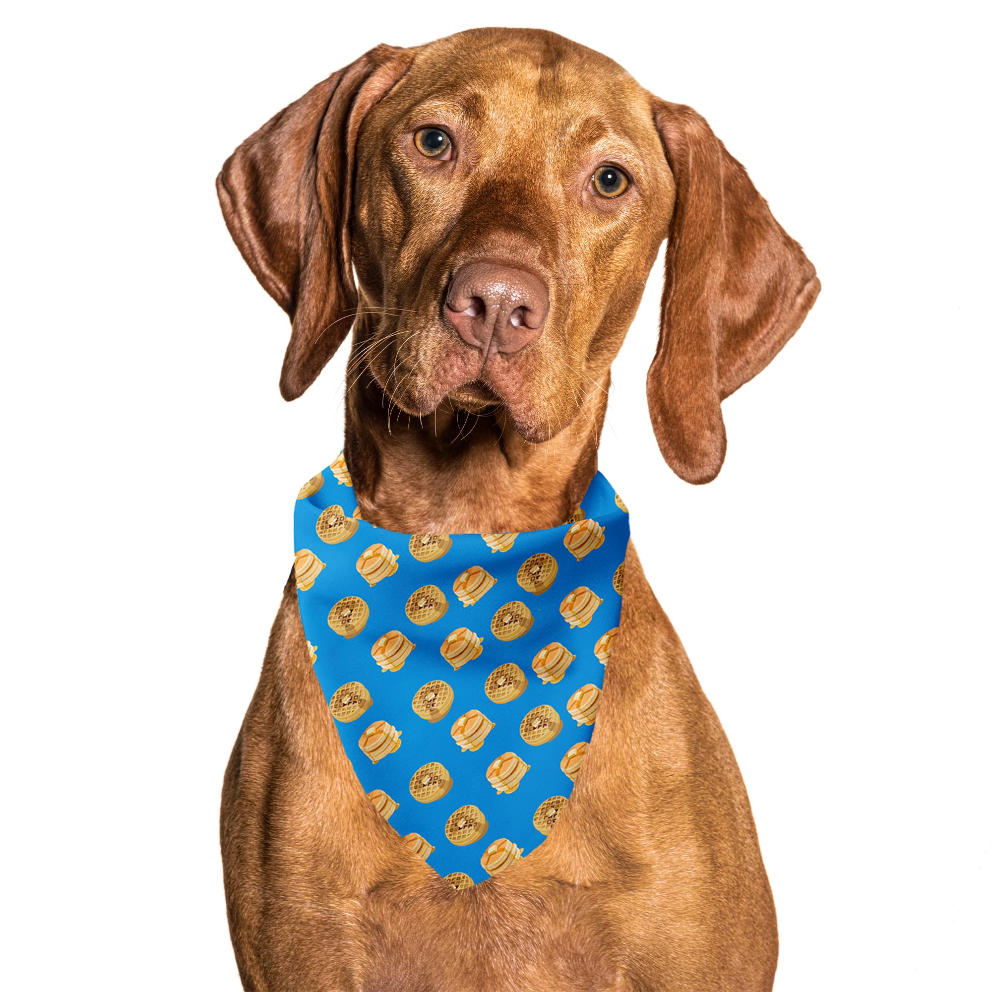 Cutie Ties Tie On Dog Bandana