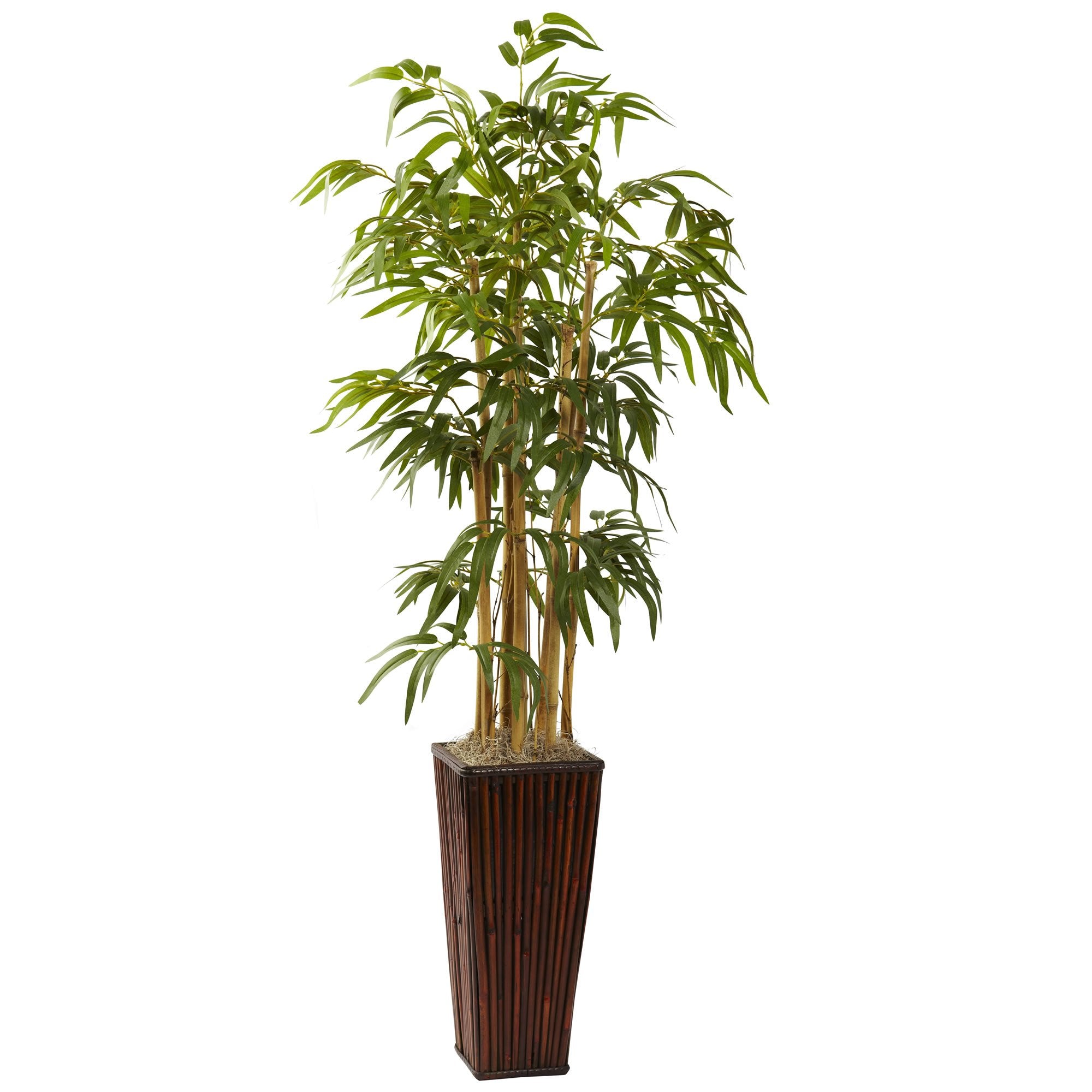 4″ Bamboo w/Decorative Planter