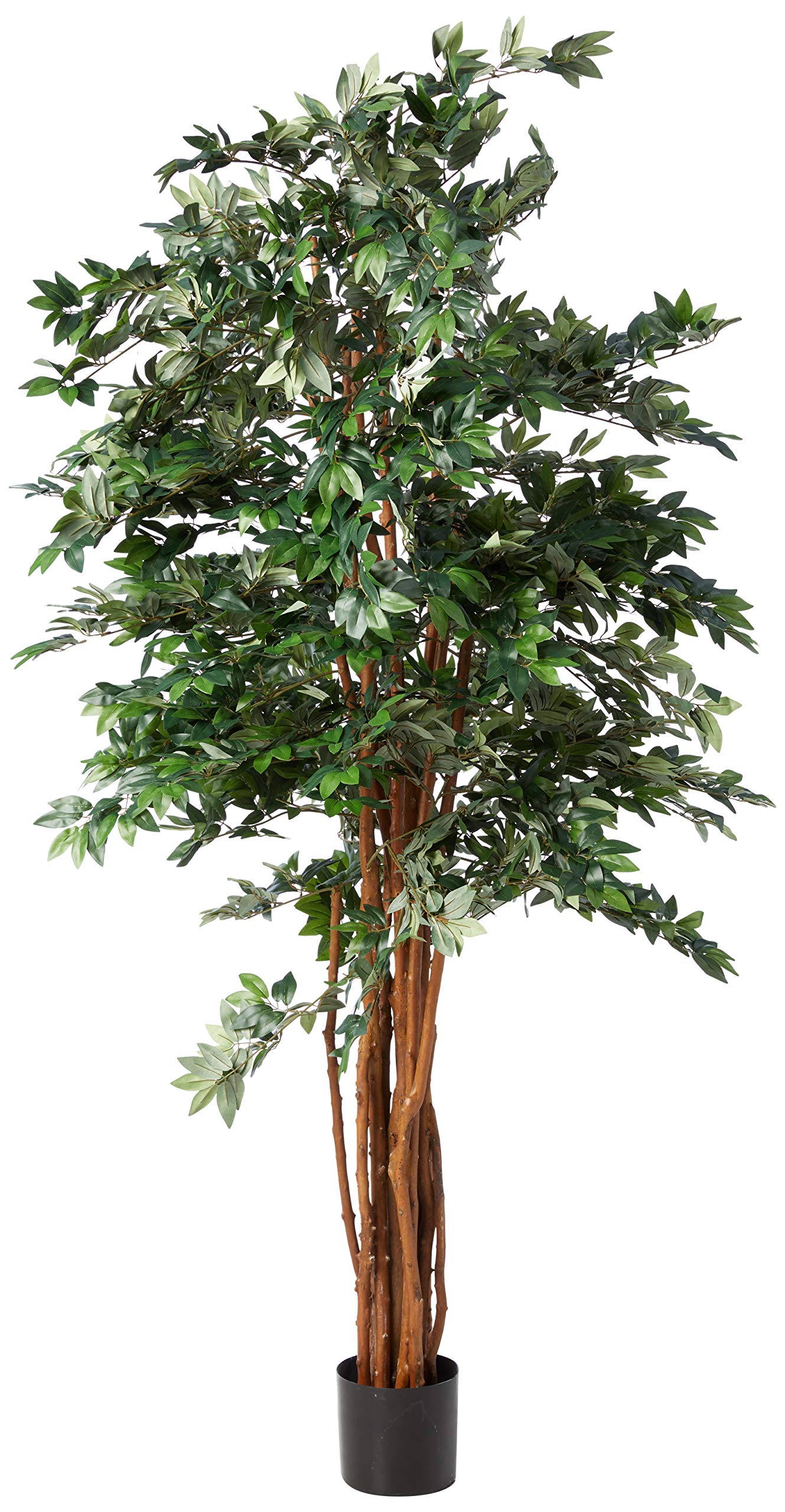 7.5″ Lychee Silk Tree