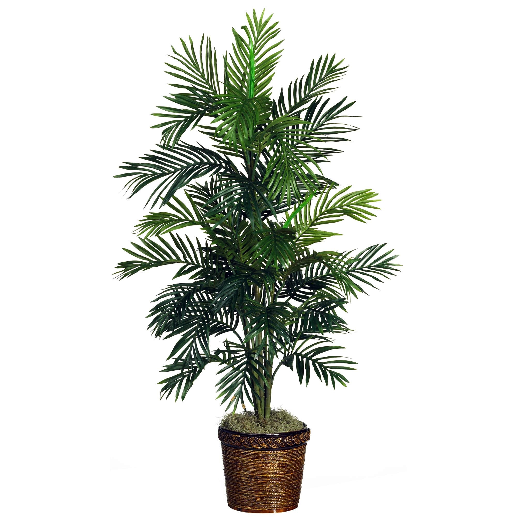 56″ Areca Palm Silk Tree w/Basket