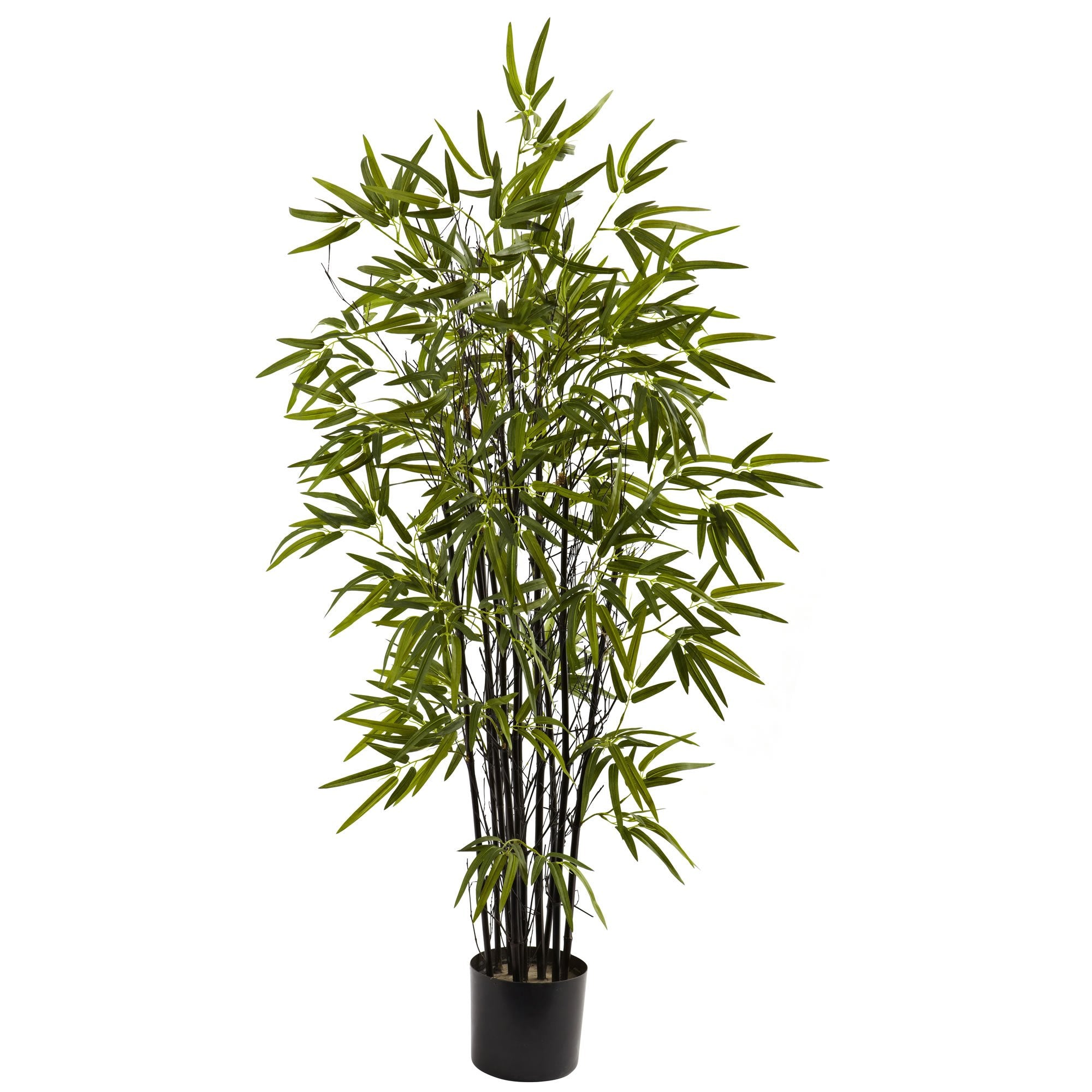 4″ Black Bamboo Tree