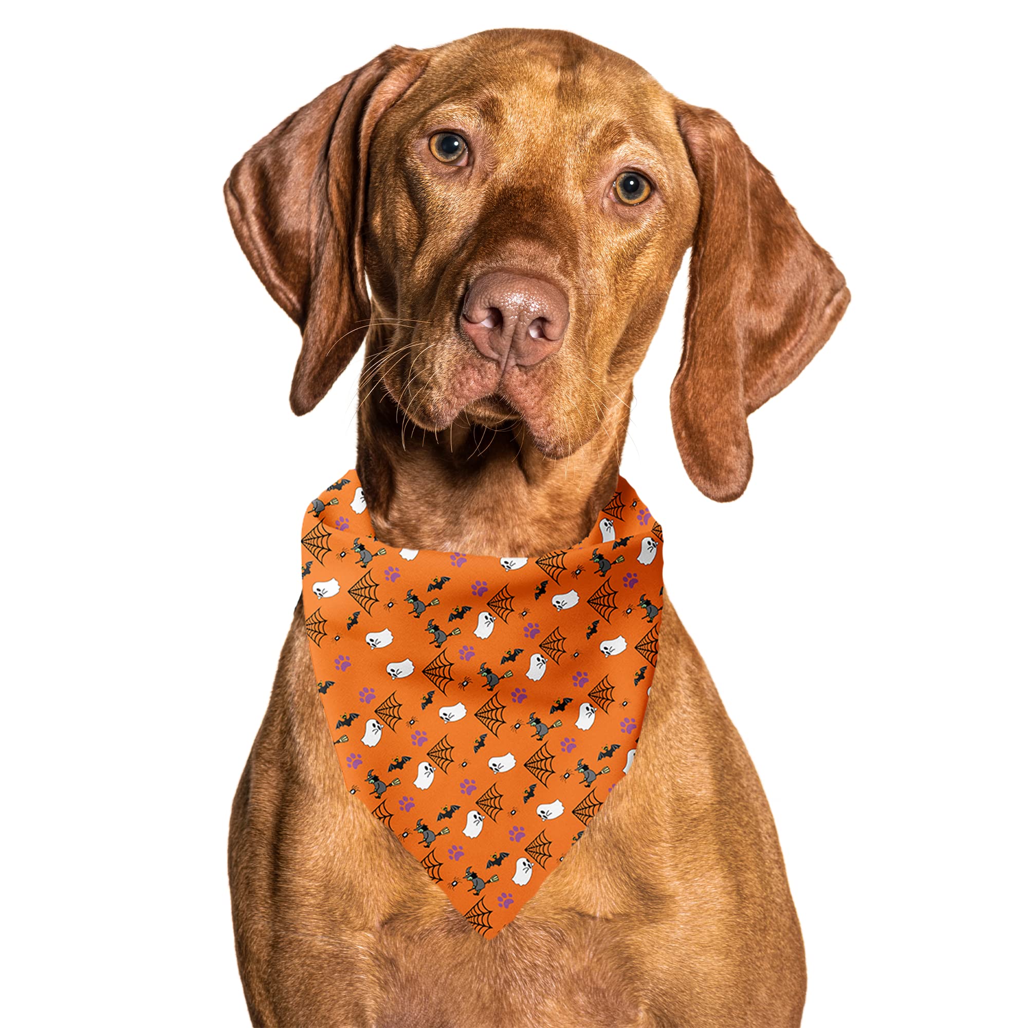 Cutie Ties Tie On Dog Bandana