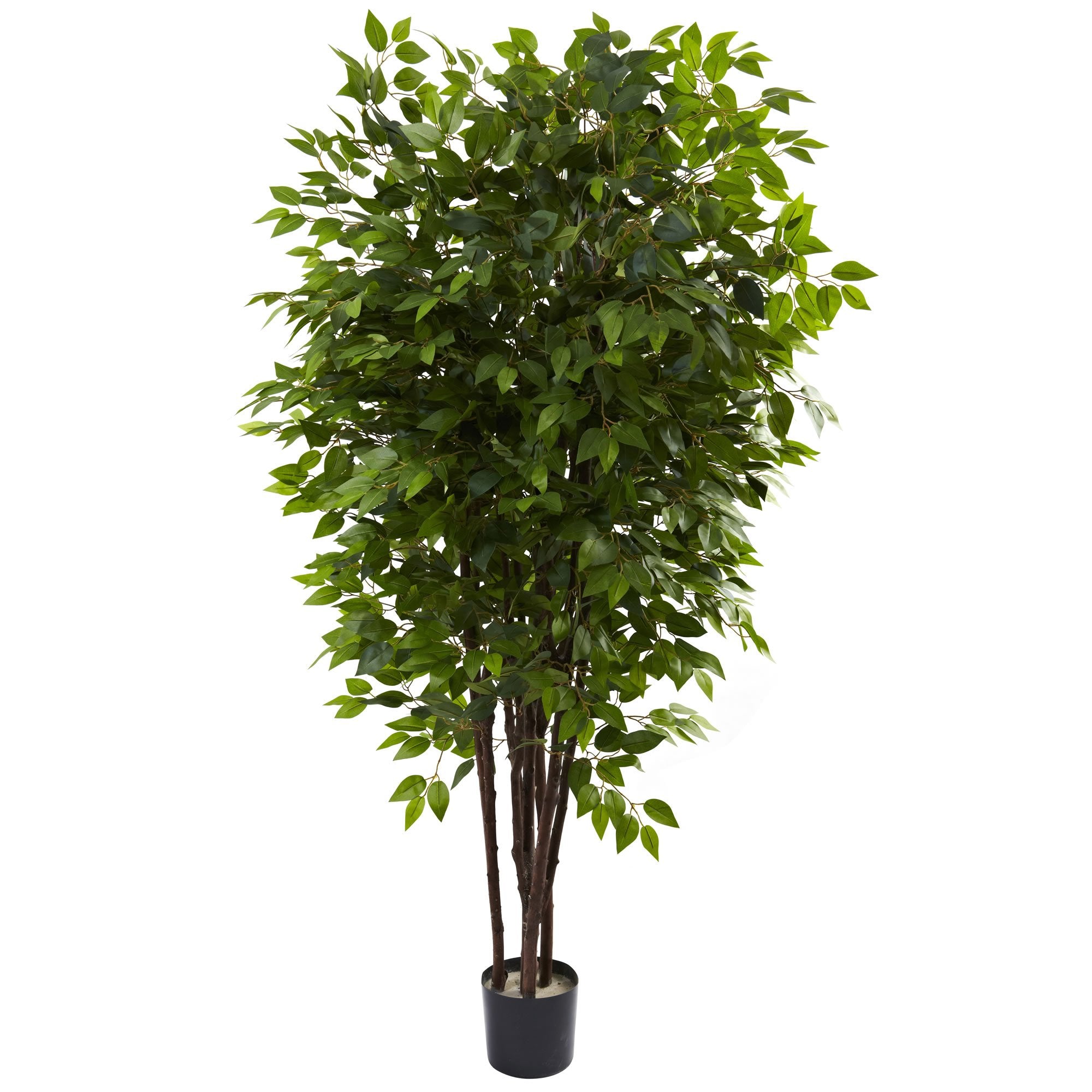 6.5″ Deluxe Ficus Tree
