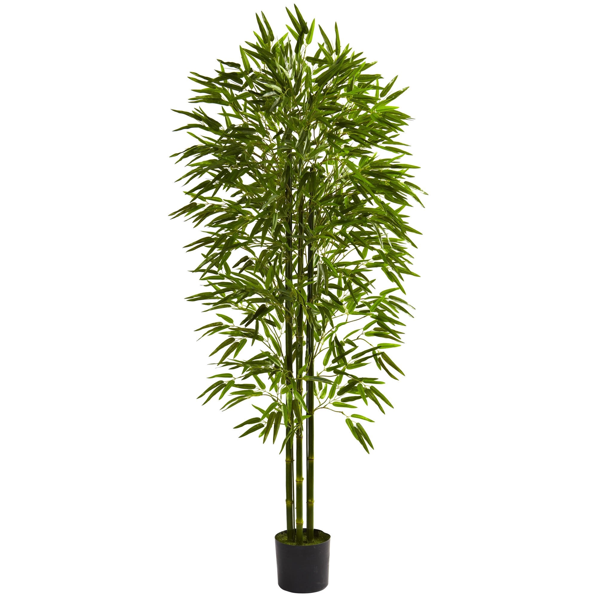 6 Bamboo Tree UV Resistant (Indoor/Outdoor)