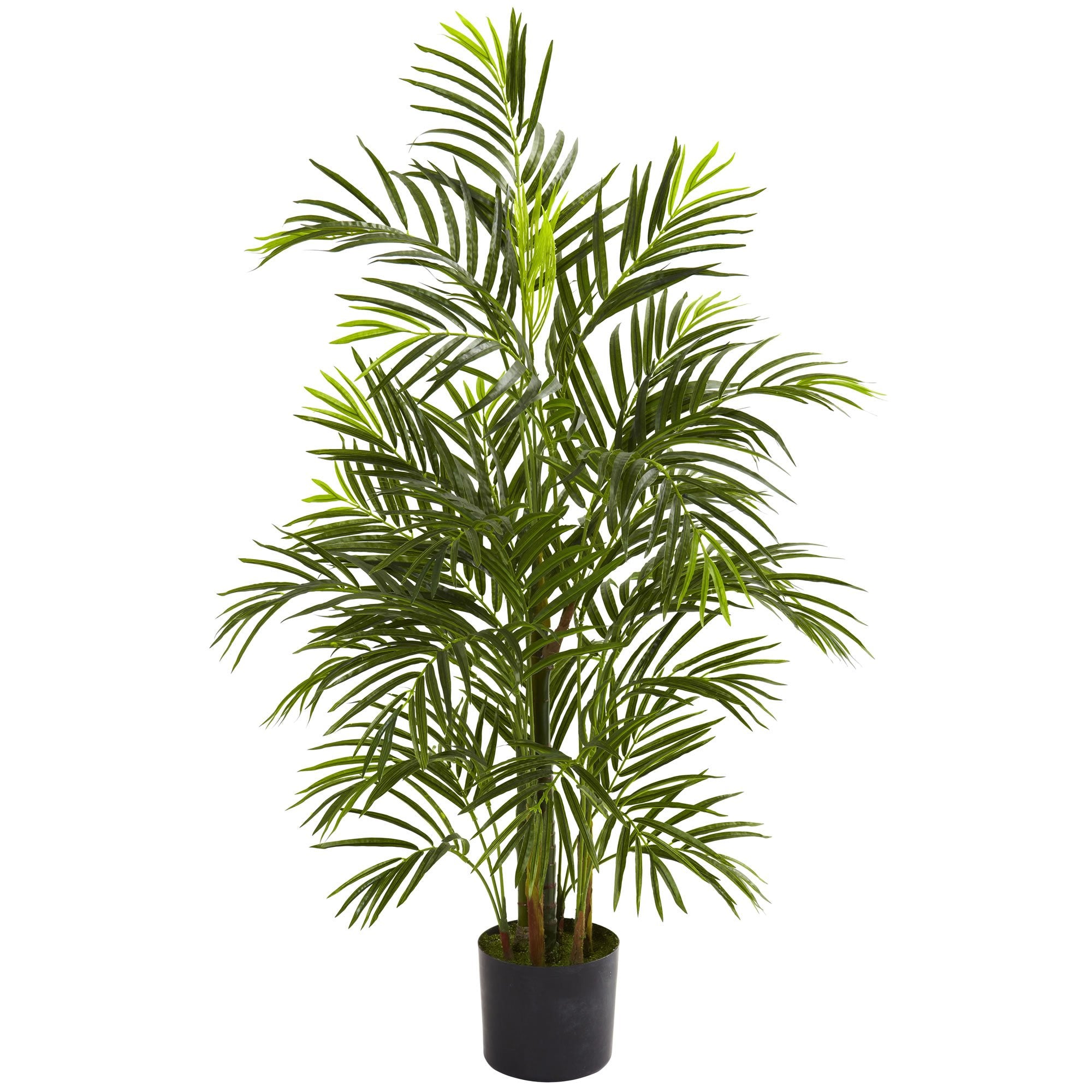 3.5 Areca Palm UV Resistant (Indoor/Outdoor)