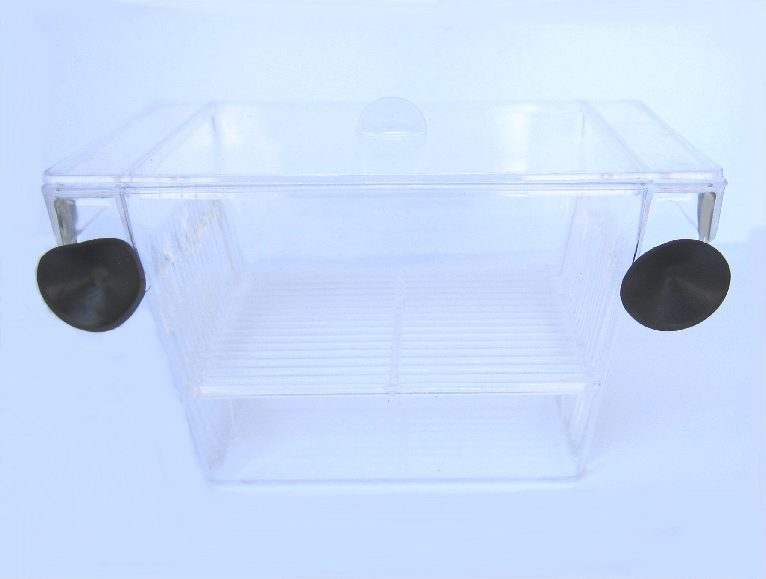 H001 Brand New Fish hatchery Tank Size 5Lx2.75W″x2.75H″″