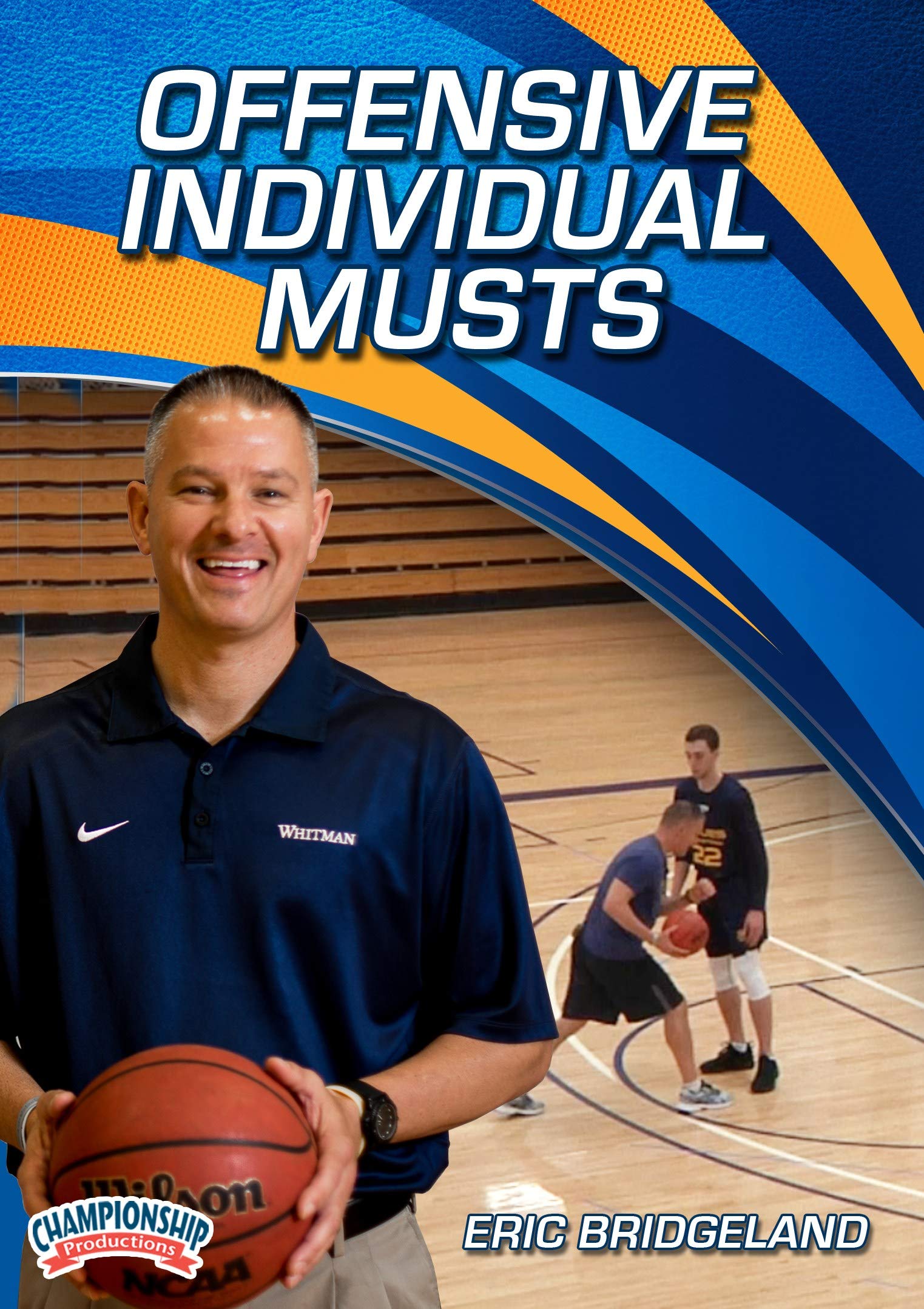 OFFENSIVE INDIVIDUAL MUSTS (BRIDGELAND)